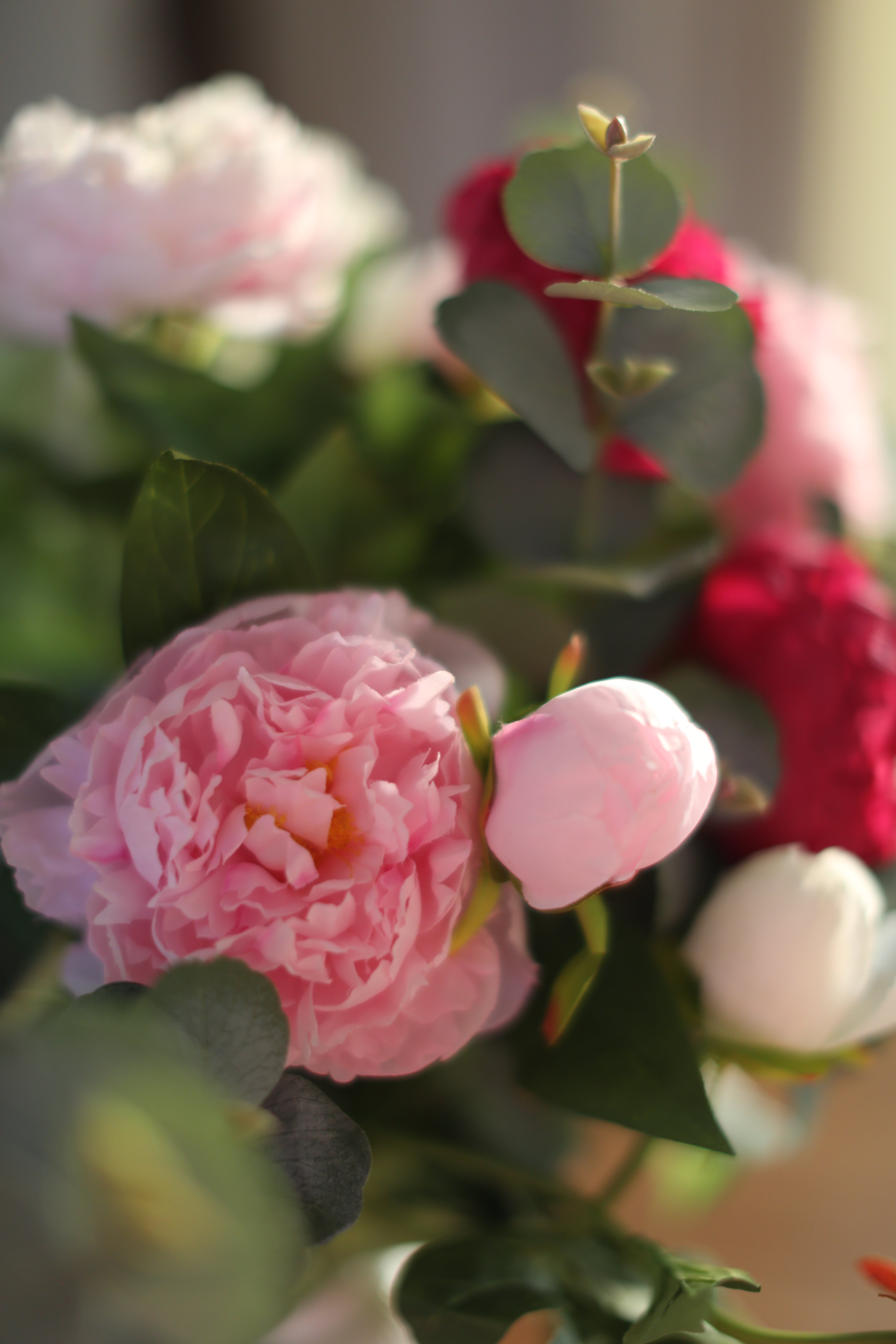 Peony & Eucalyptus Bouquet