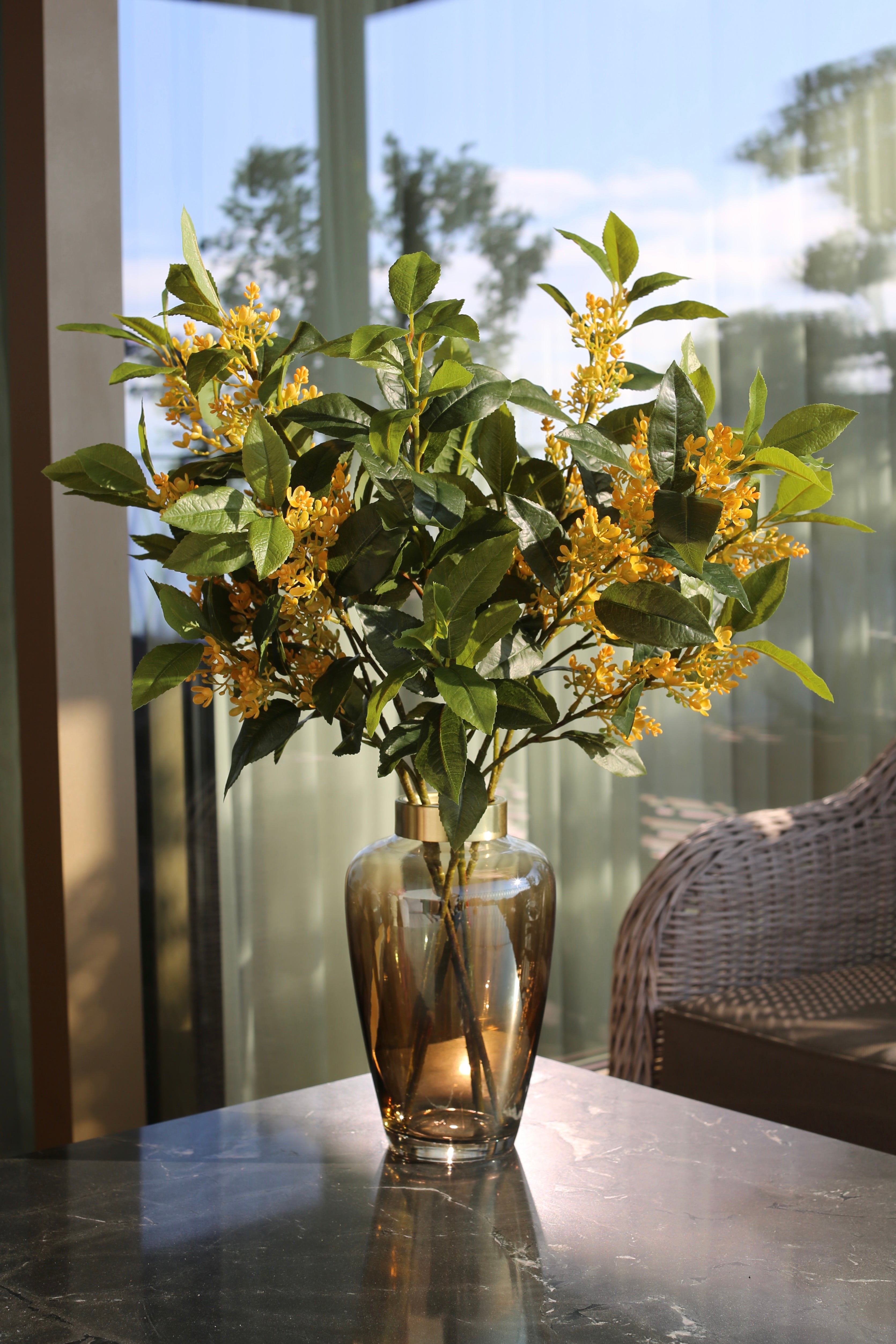 Sweet Olive Bush Yellow