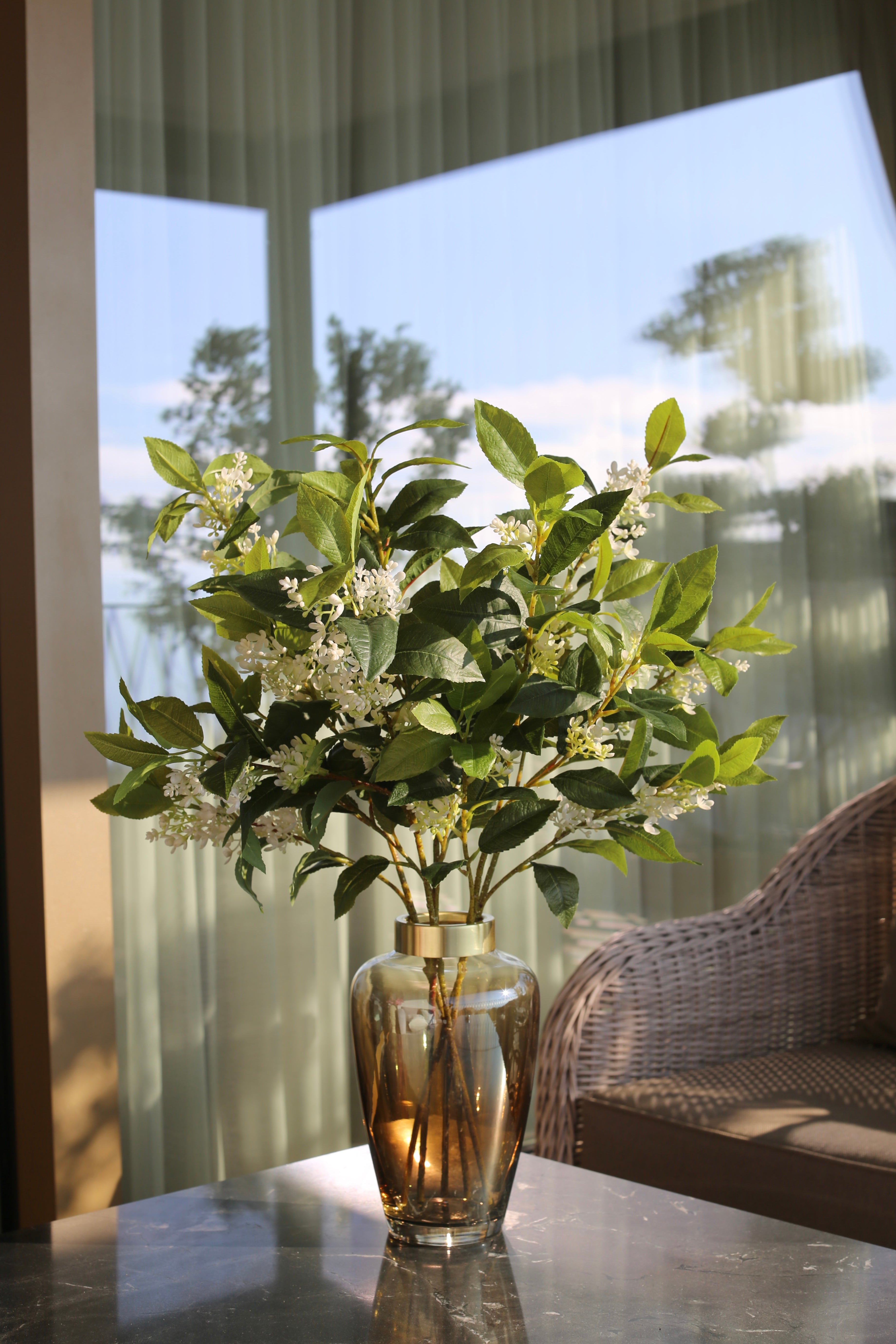 Sweet Olive Bush White