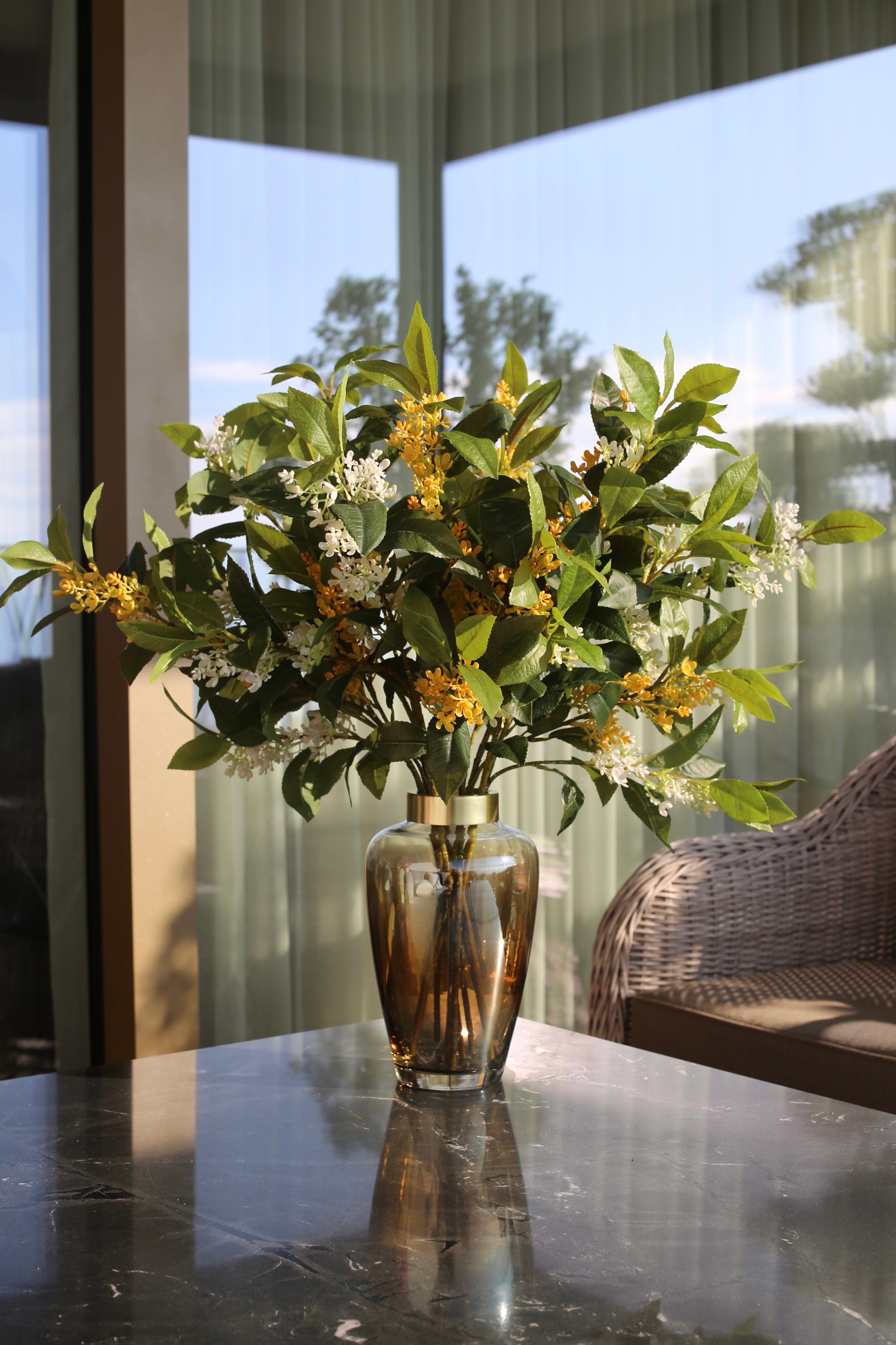 Sweet Olive Bush Deluxe