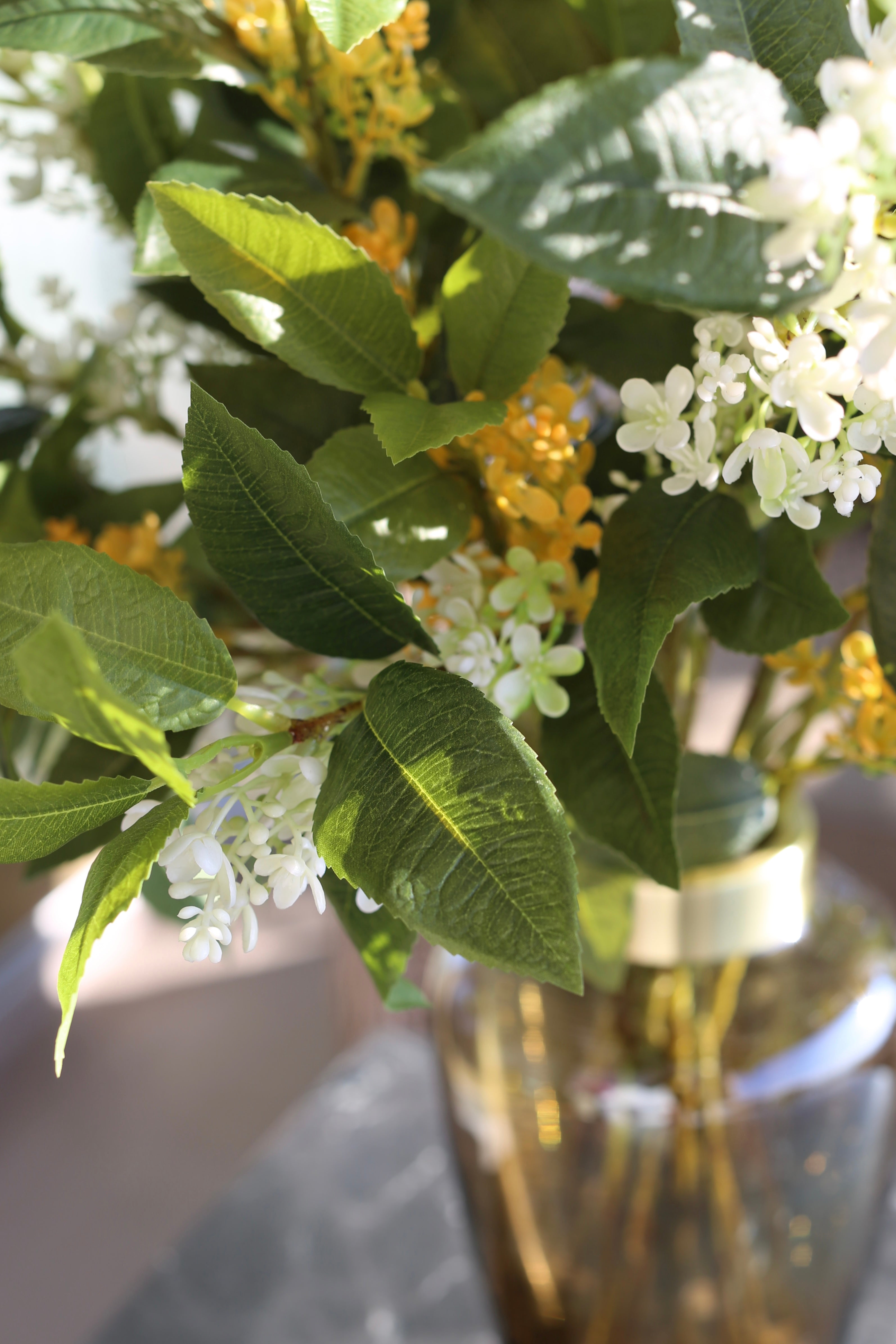 Sweet Olive Bush Deluxe