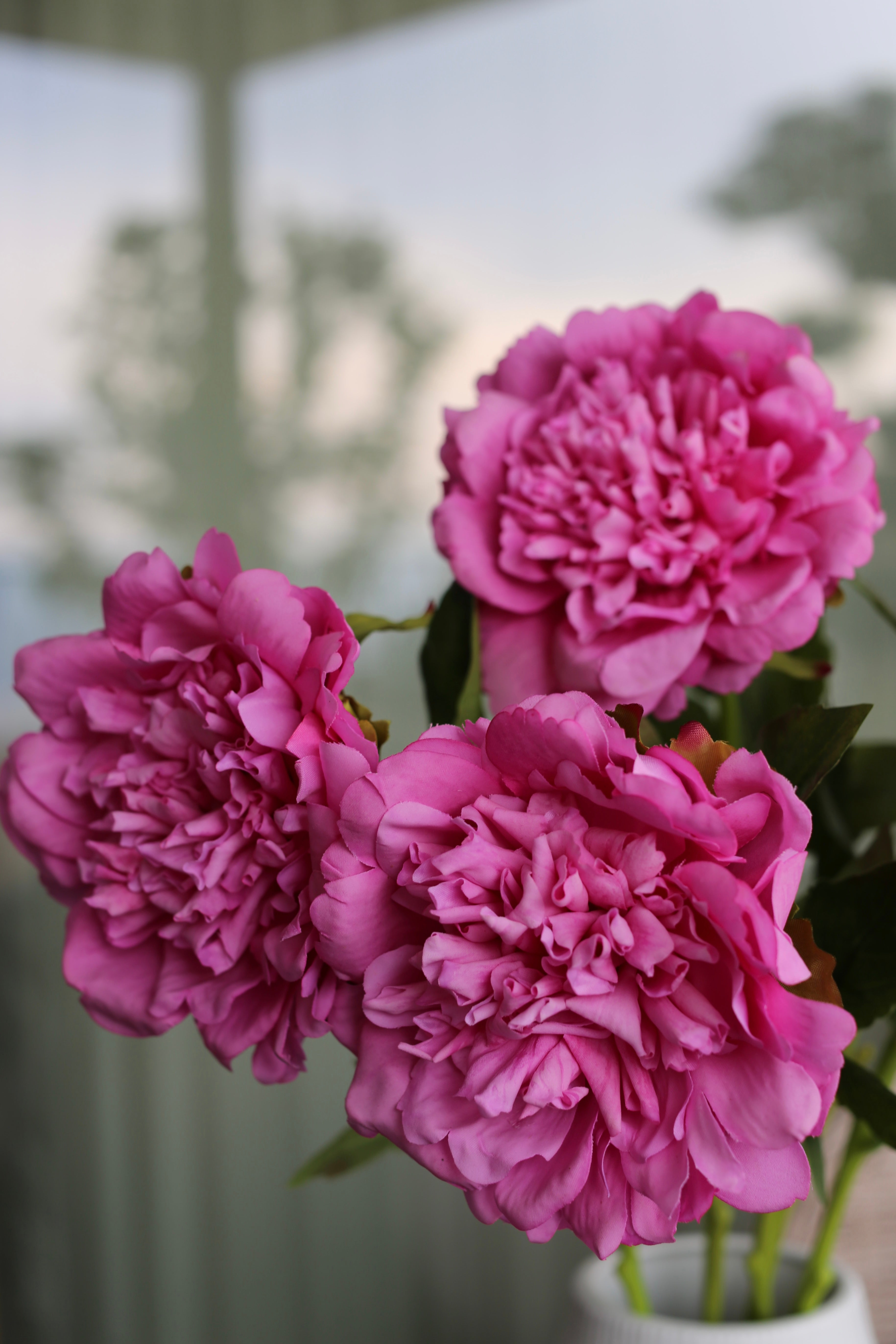 Premium Peony Bouquet Magenta