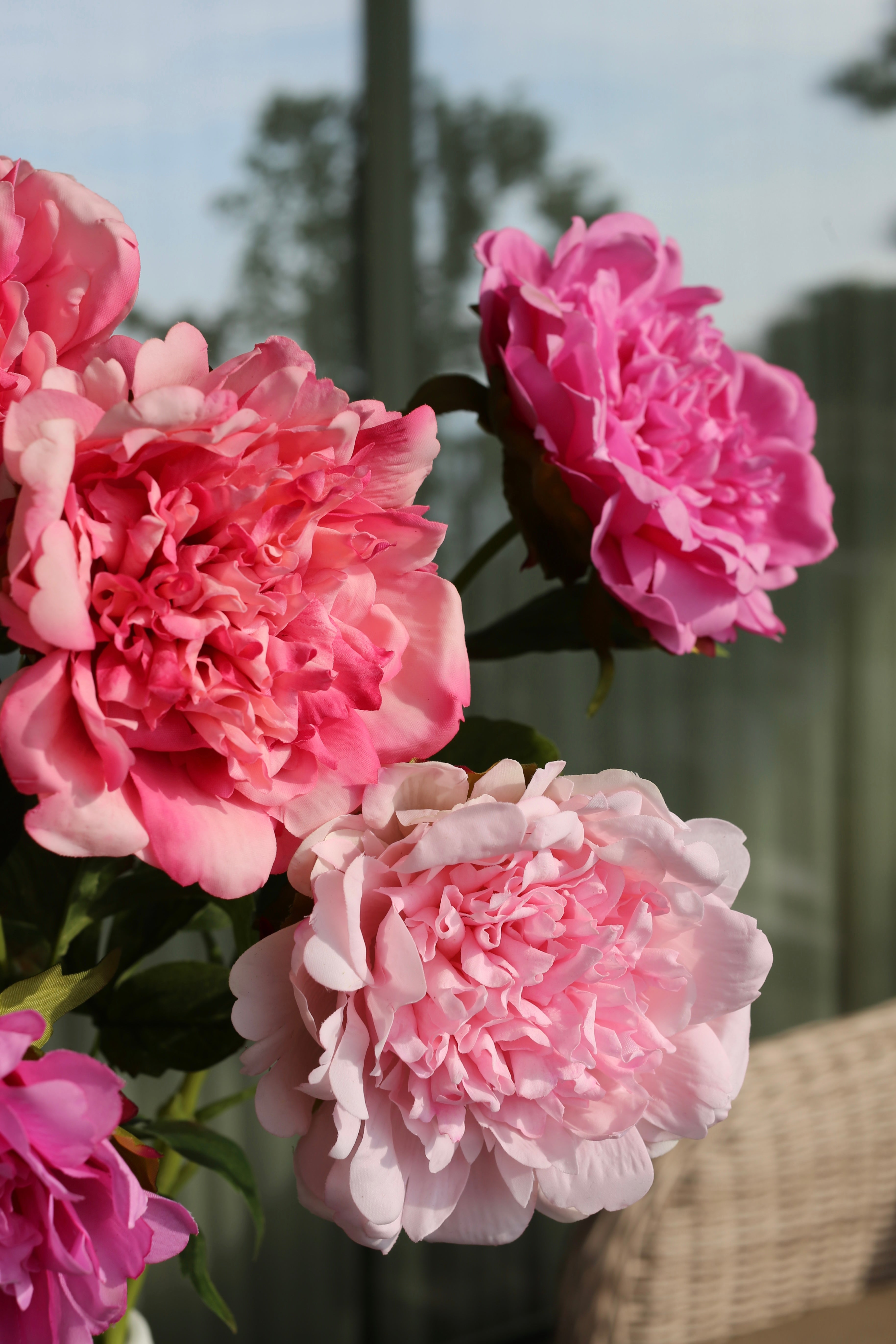 Pink Party Peony Bouquet