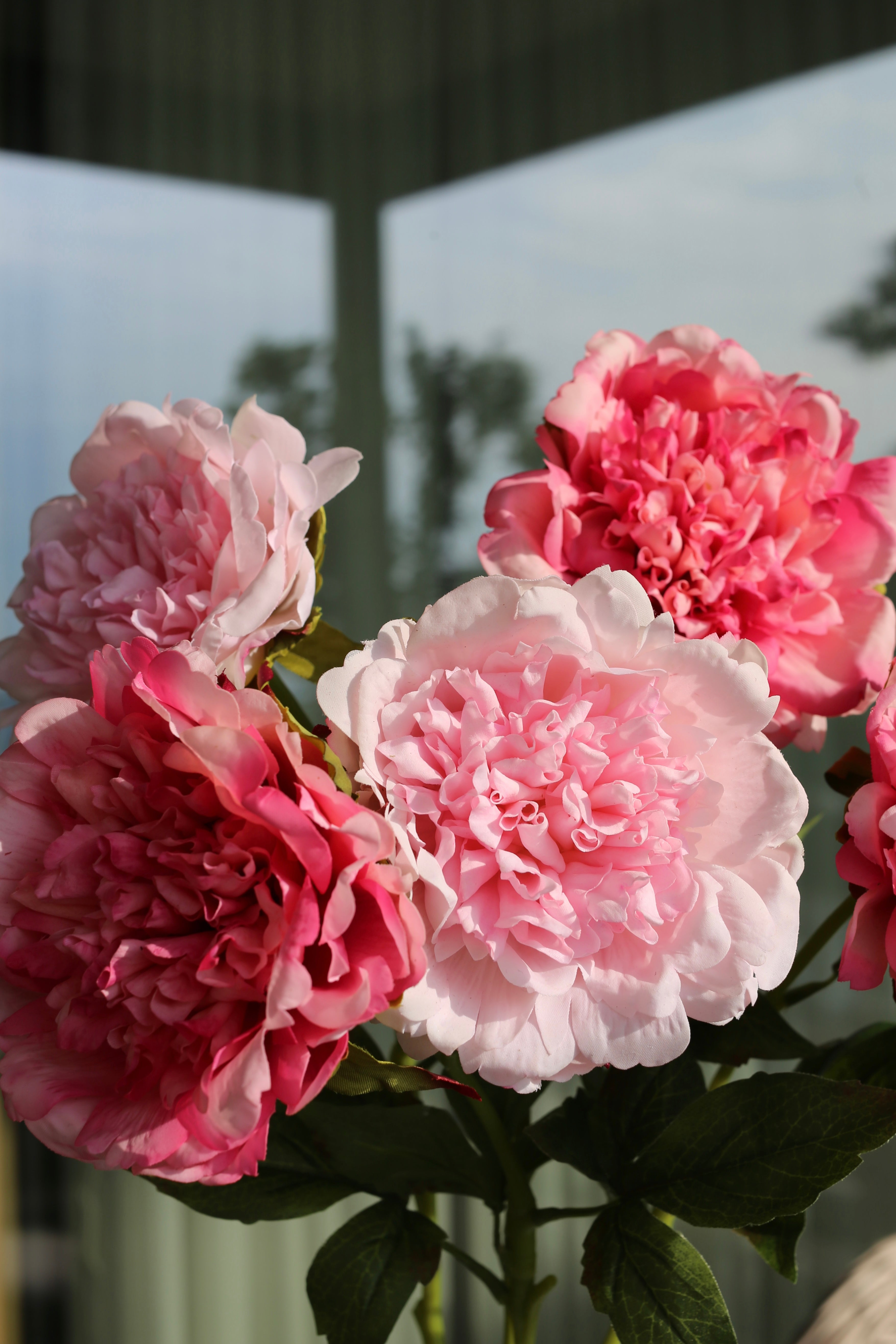 Premium Peony Bouquet Pink