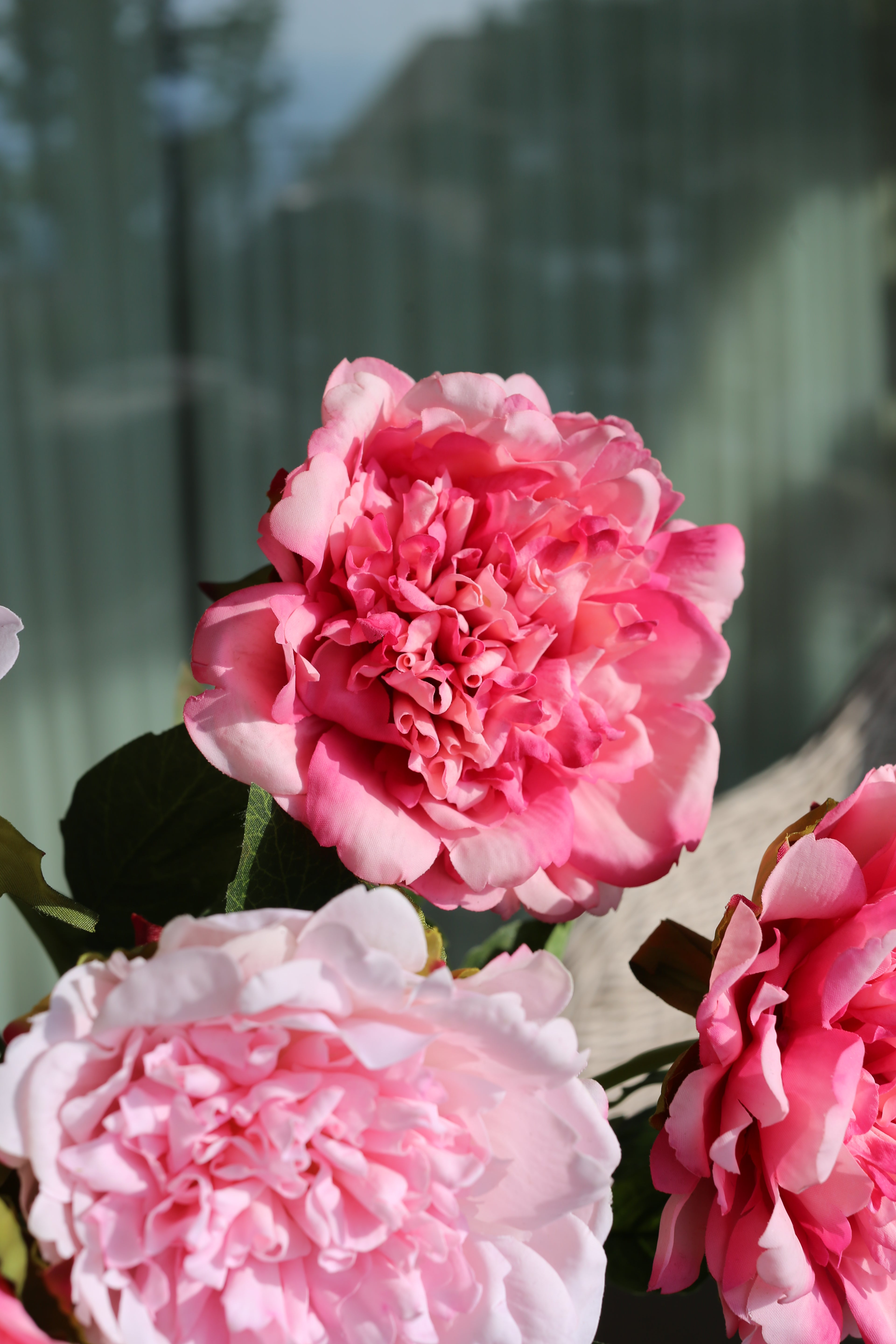 Premium Peony Bouquet Pink