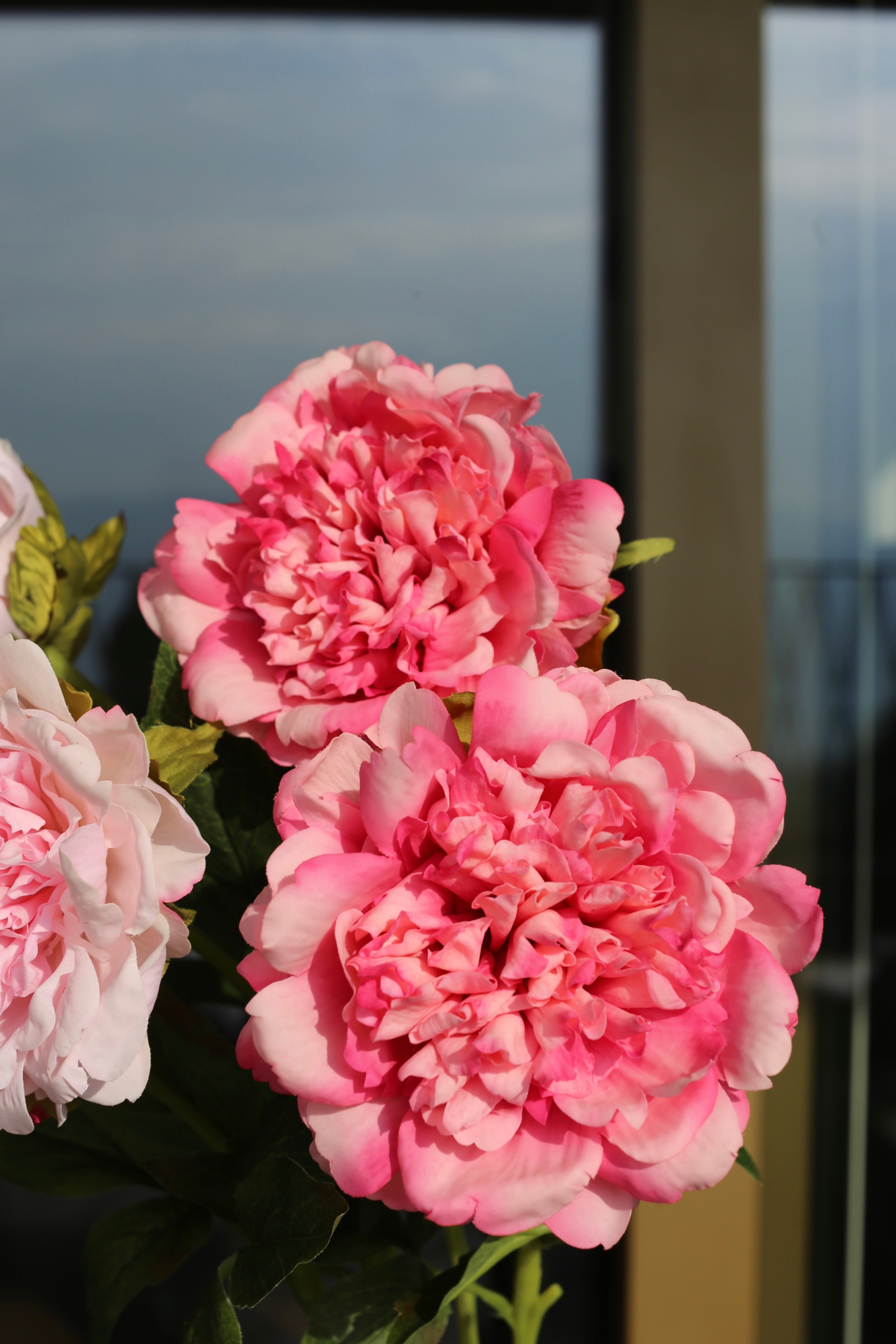 Premium Peony Bouquet Pink