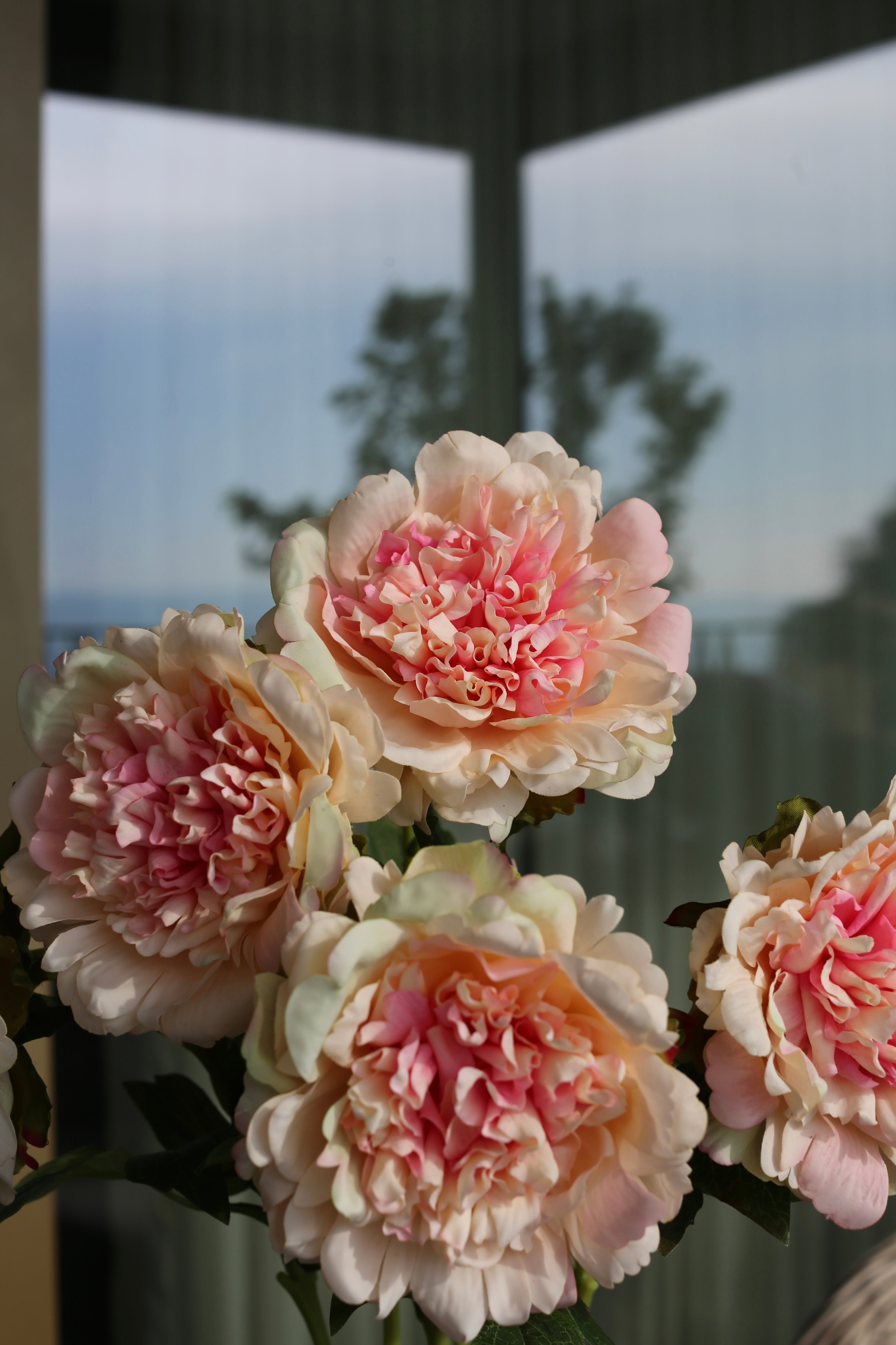 Premium Peony Bouquet Peach
