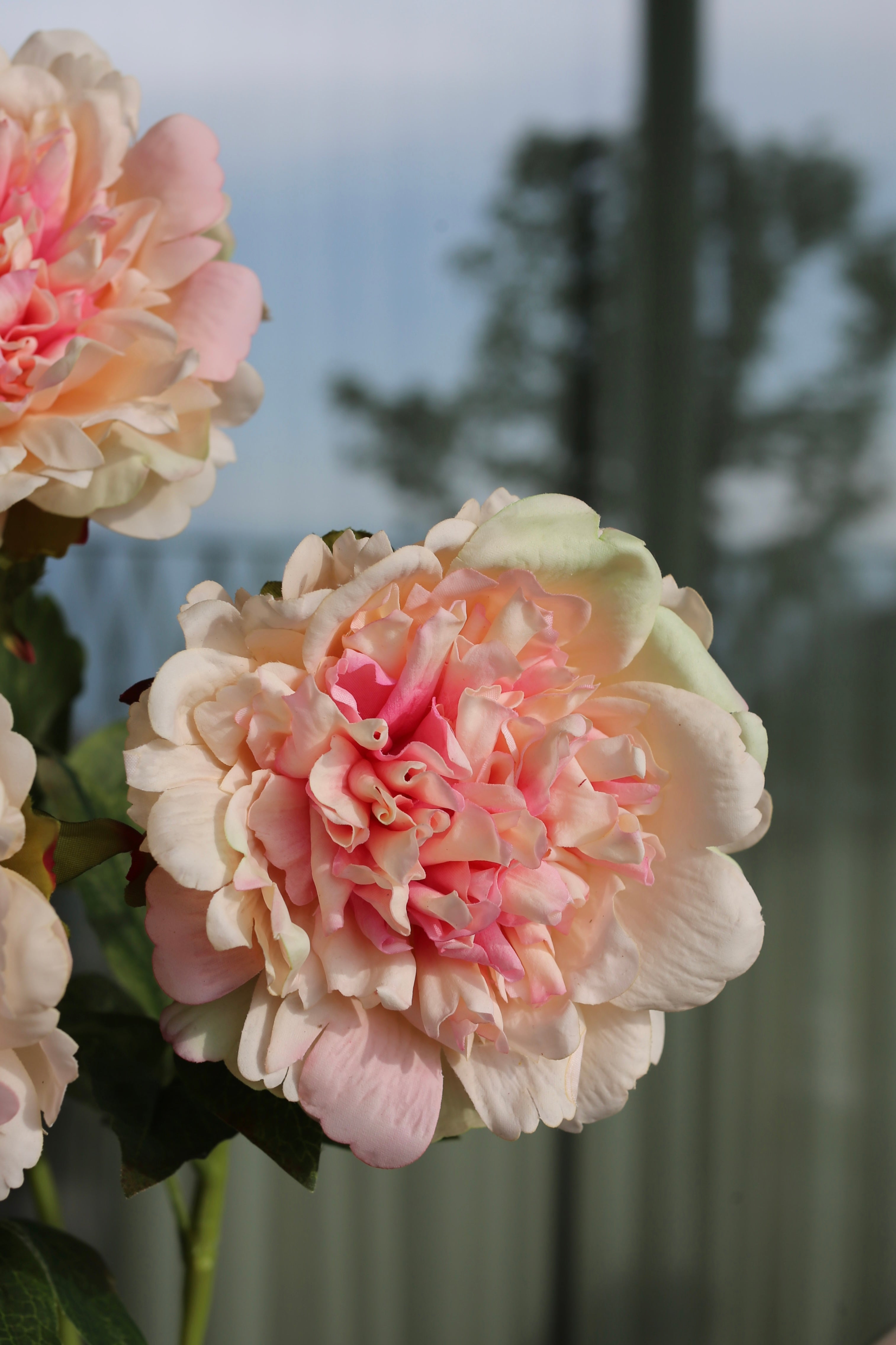 Premium Peony Bouquet Peach