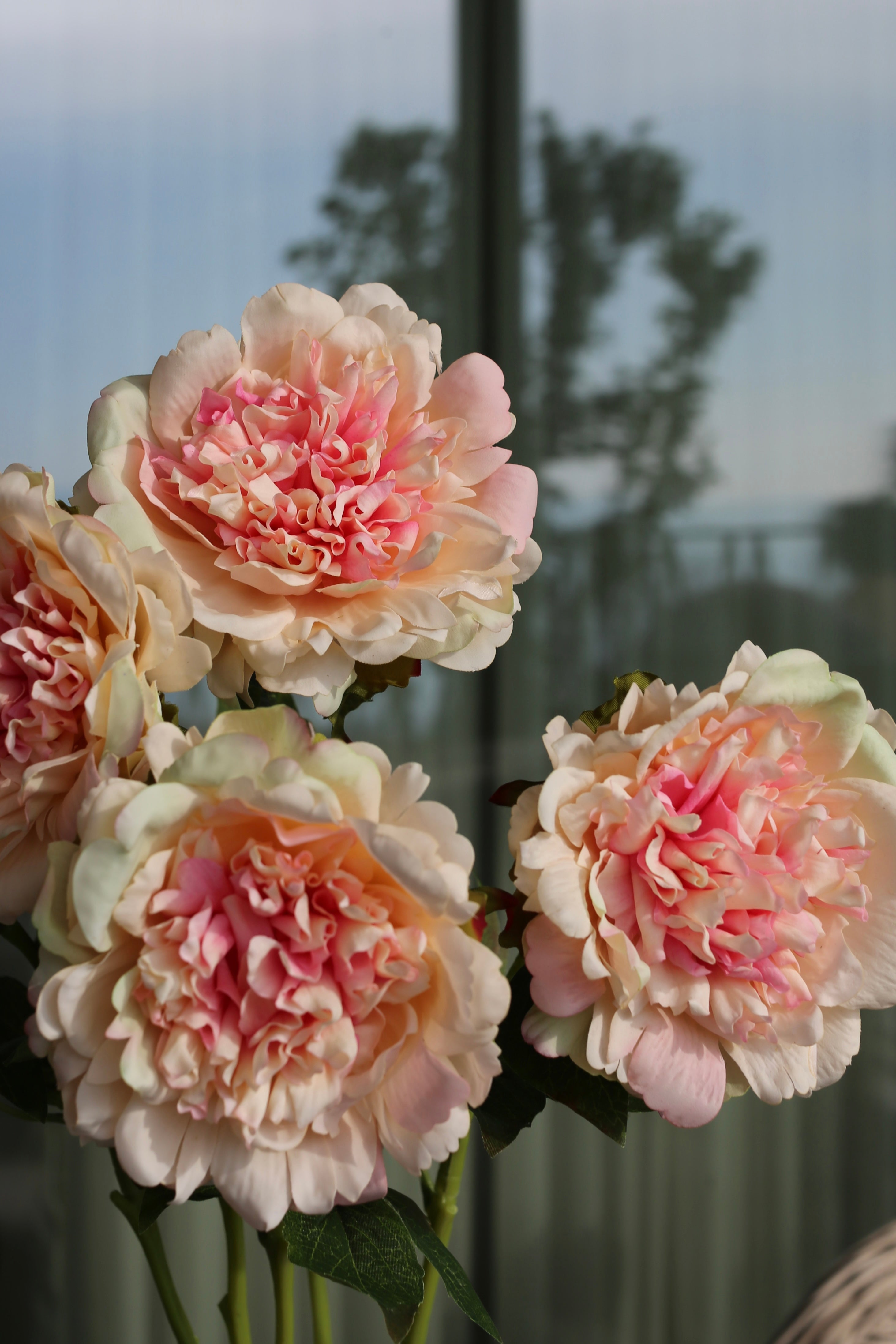 Premium Peony Bouquet Peach