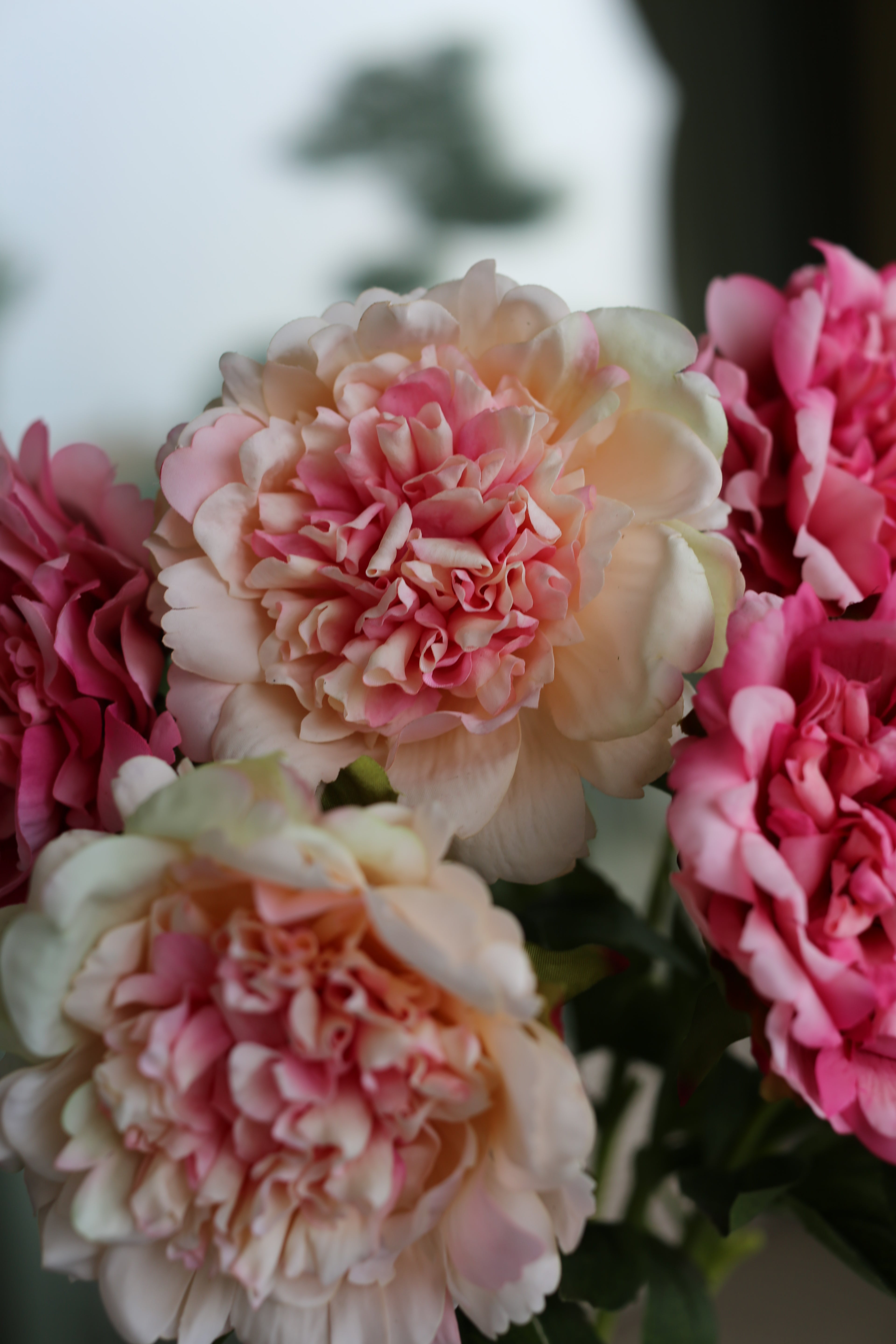 Premium Peony Bouquet Peach & Pink