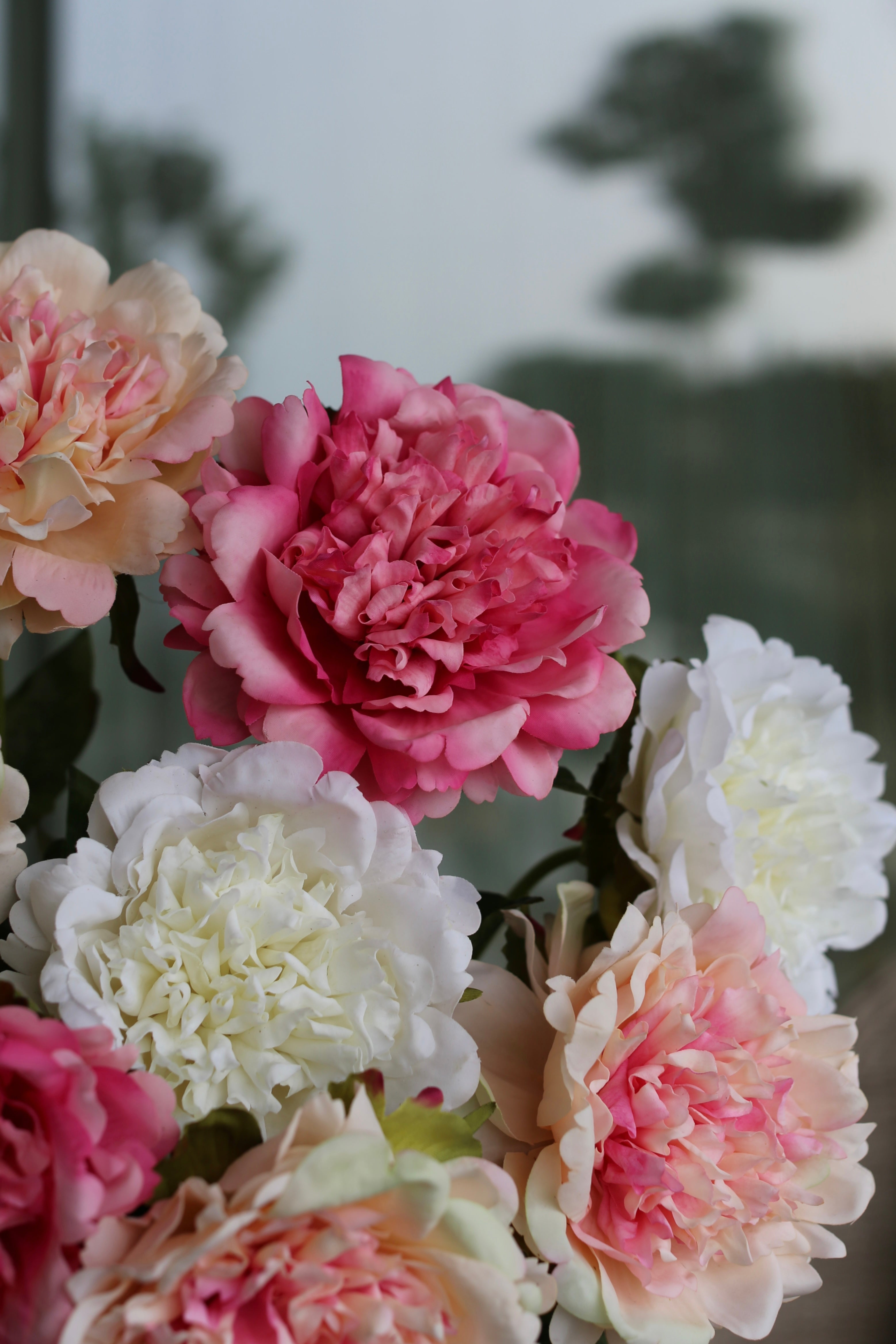 Peony Reverie Bouquet
