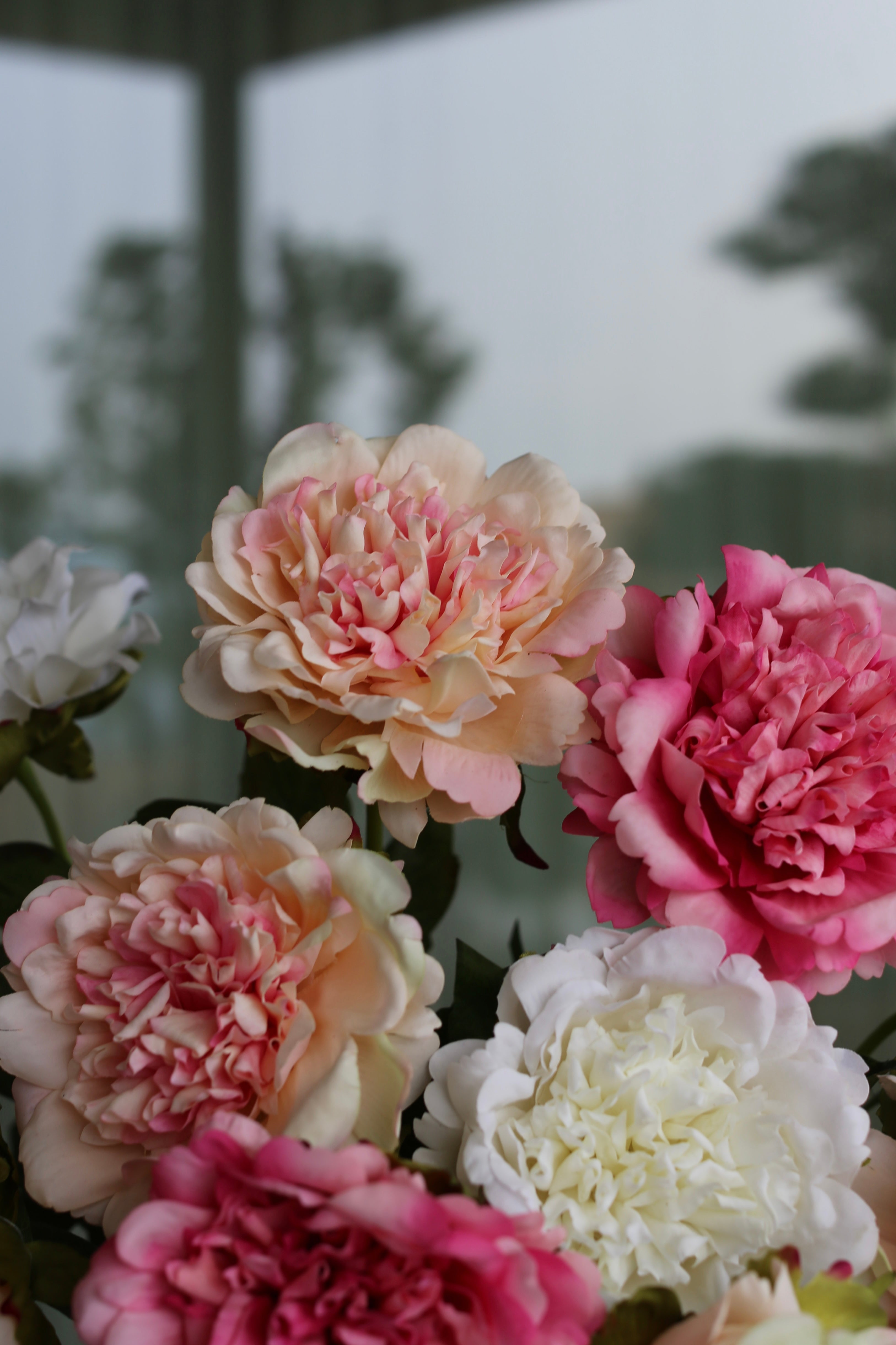 Peony Reverie Bouquet