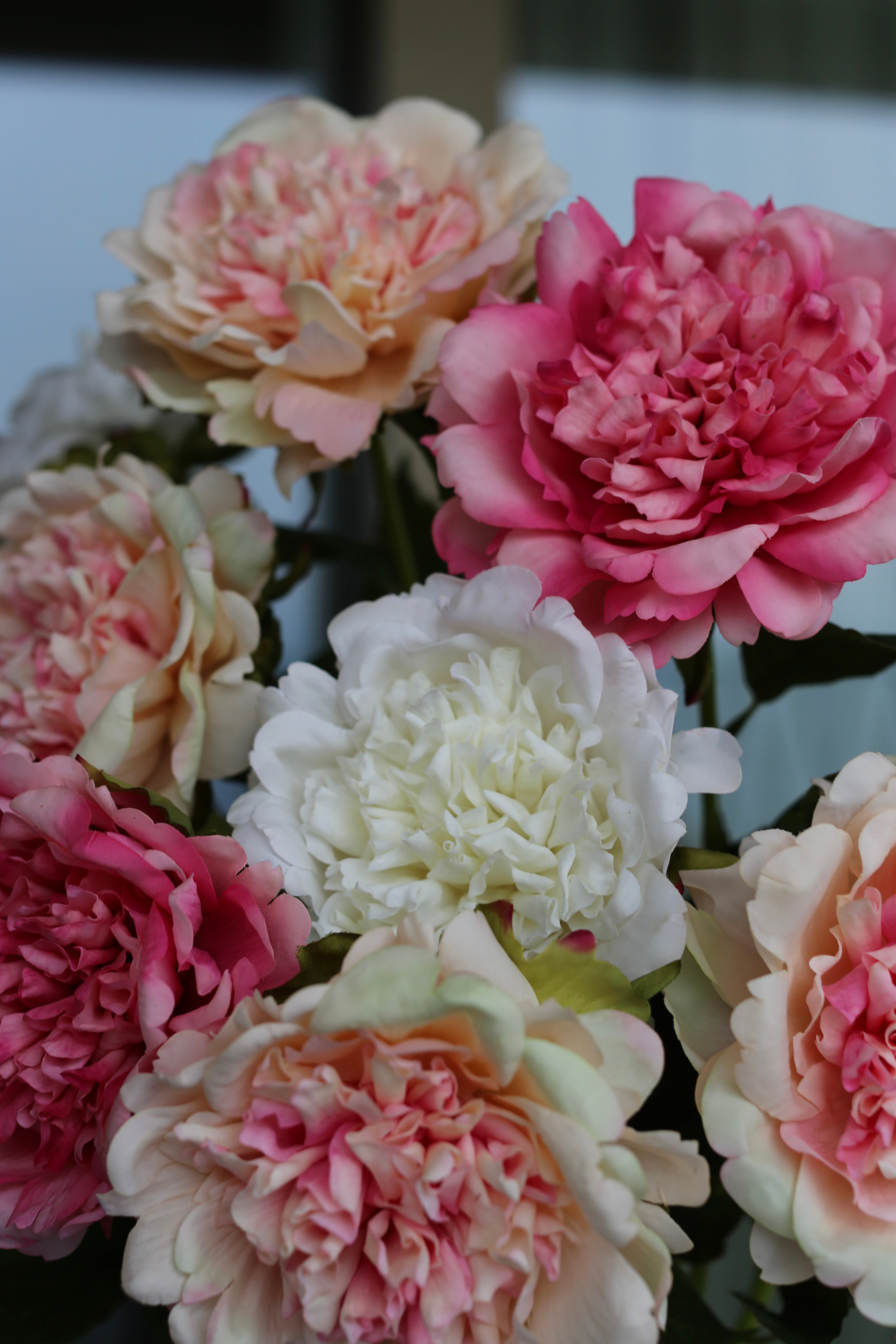 Peony Reverie Bouquet
