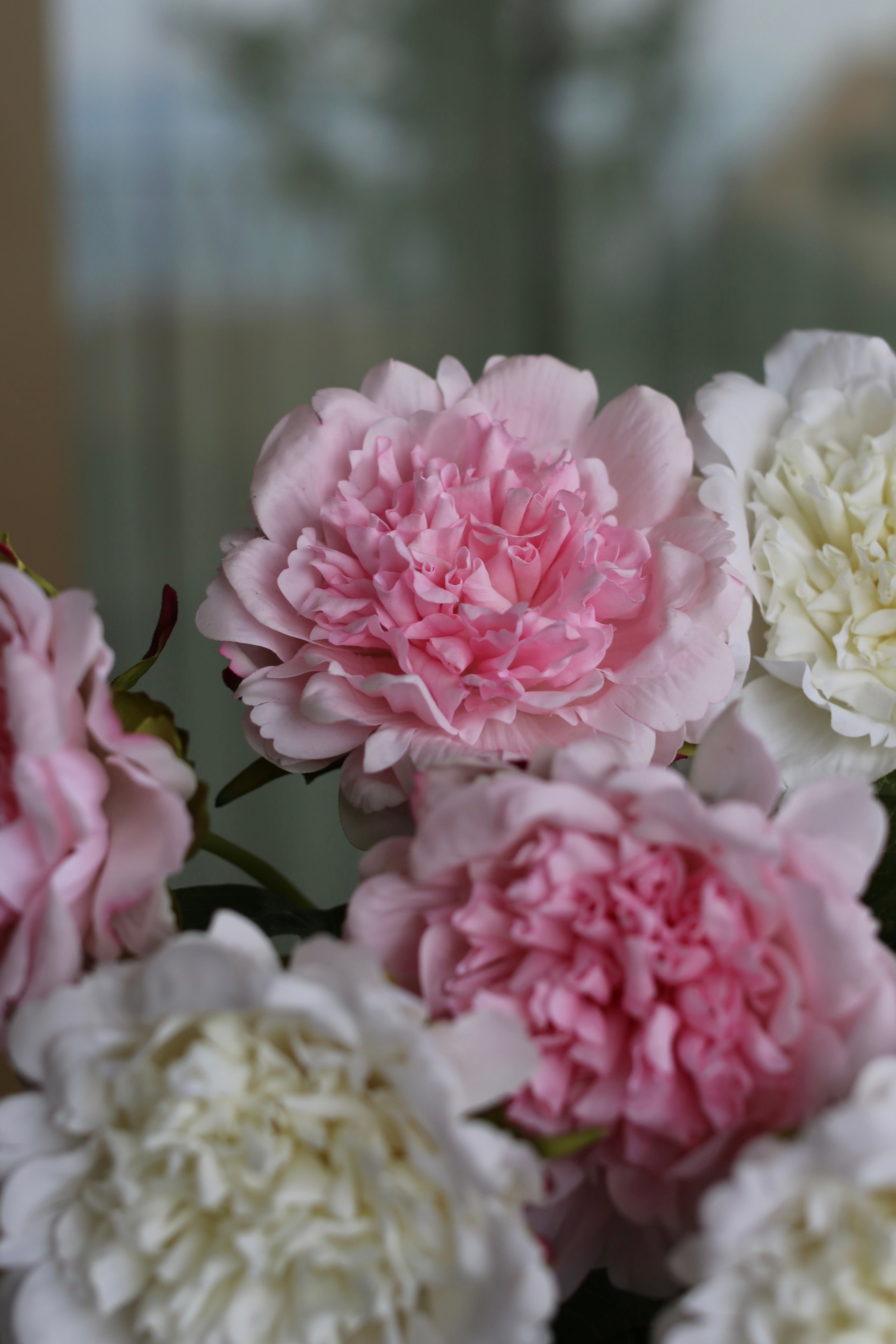 Premium Peony Bouquet Pink & White