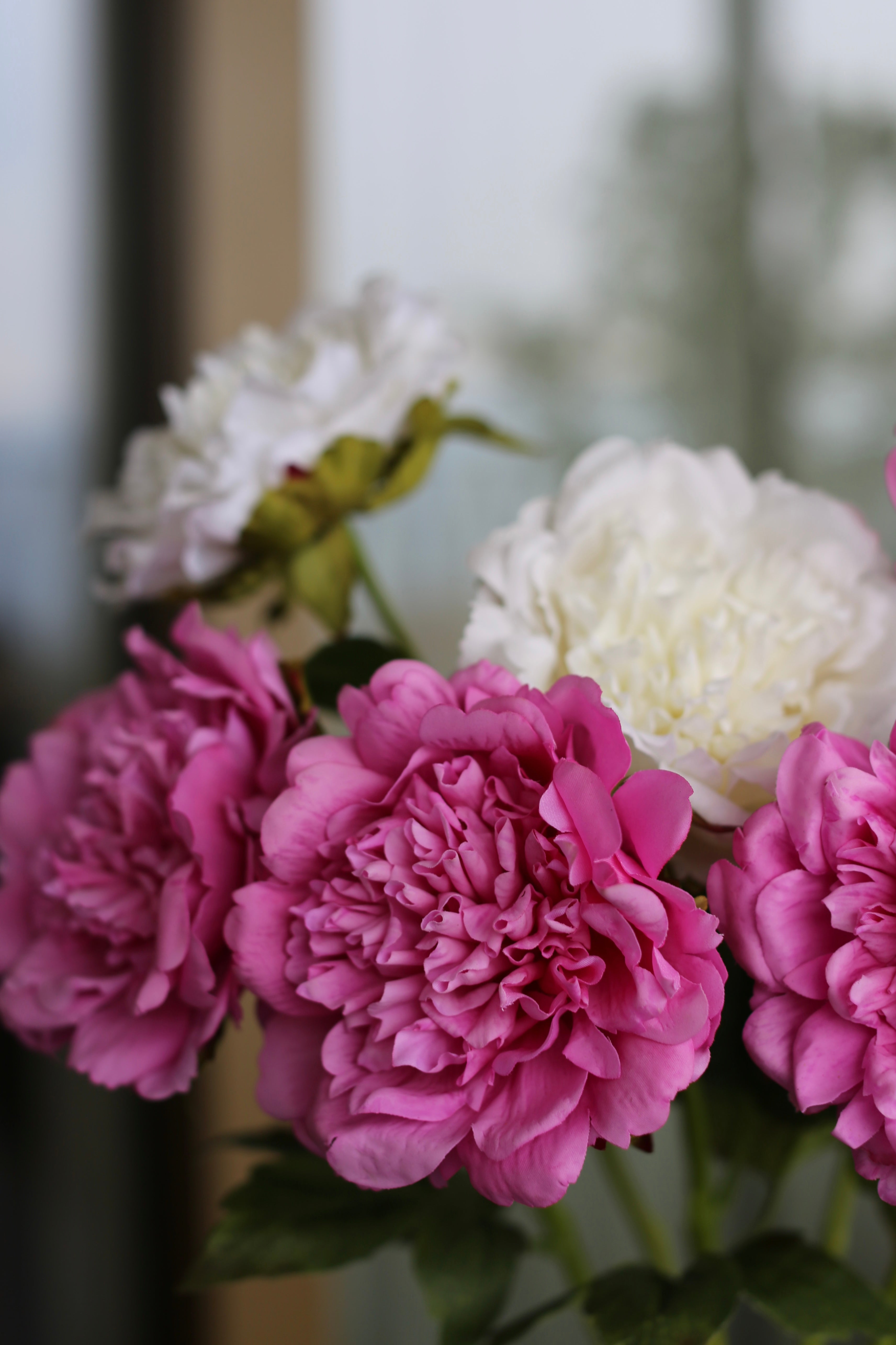 Premium Peony Bouquet Magenta & White
