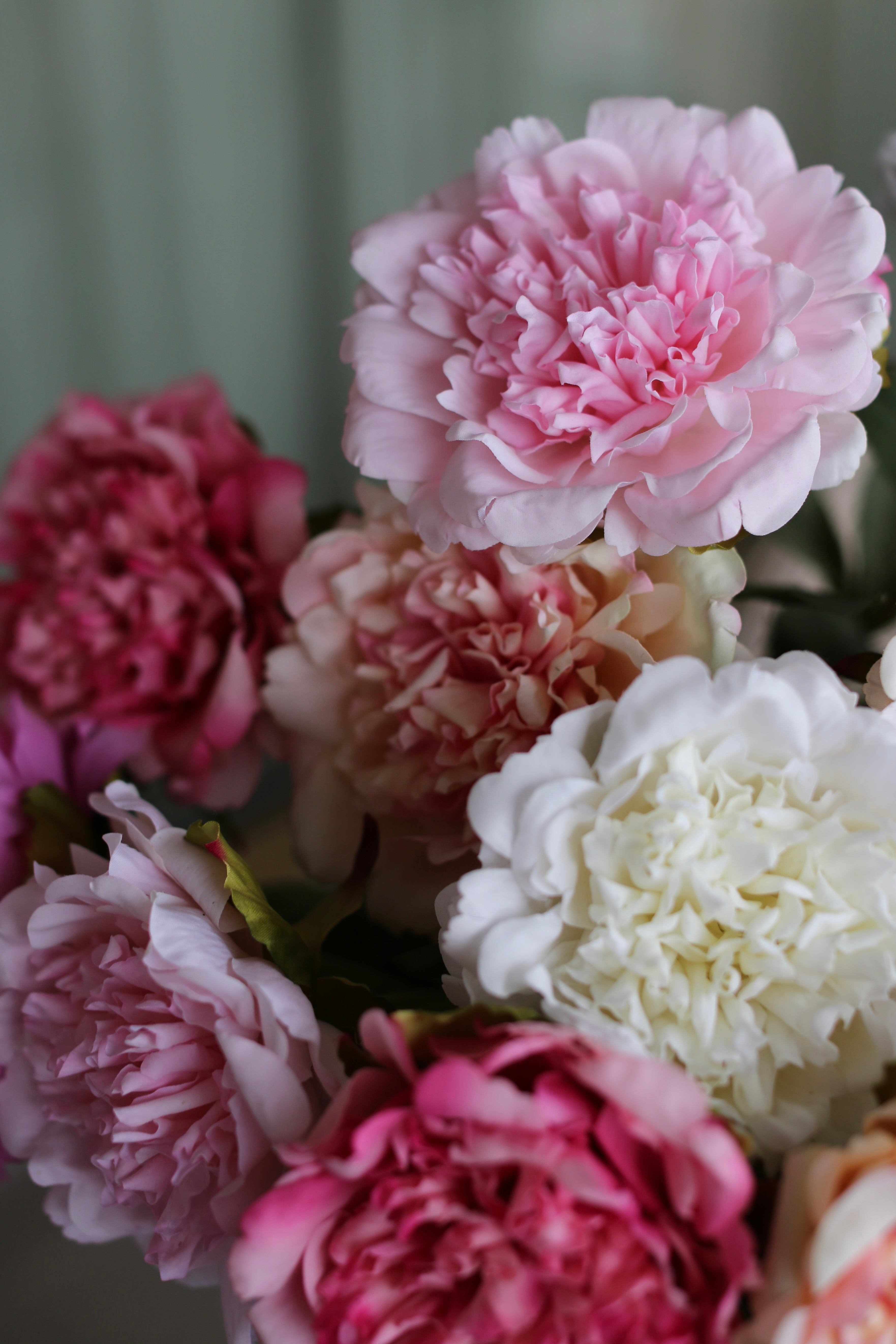Le Grand Peony Bouquet