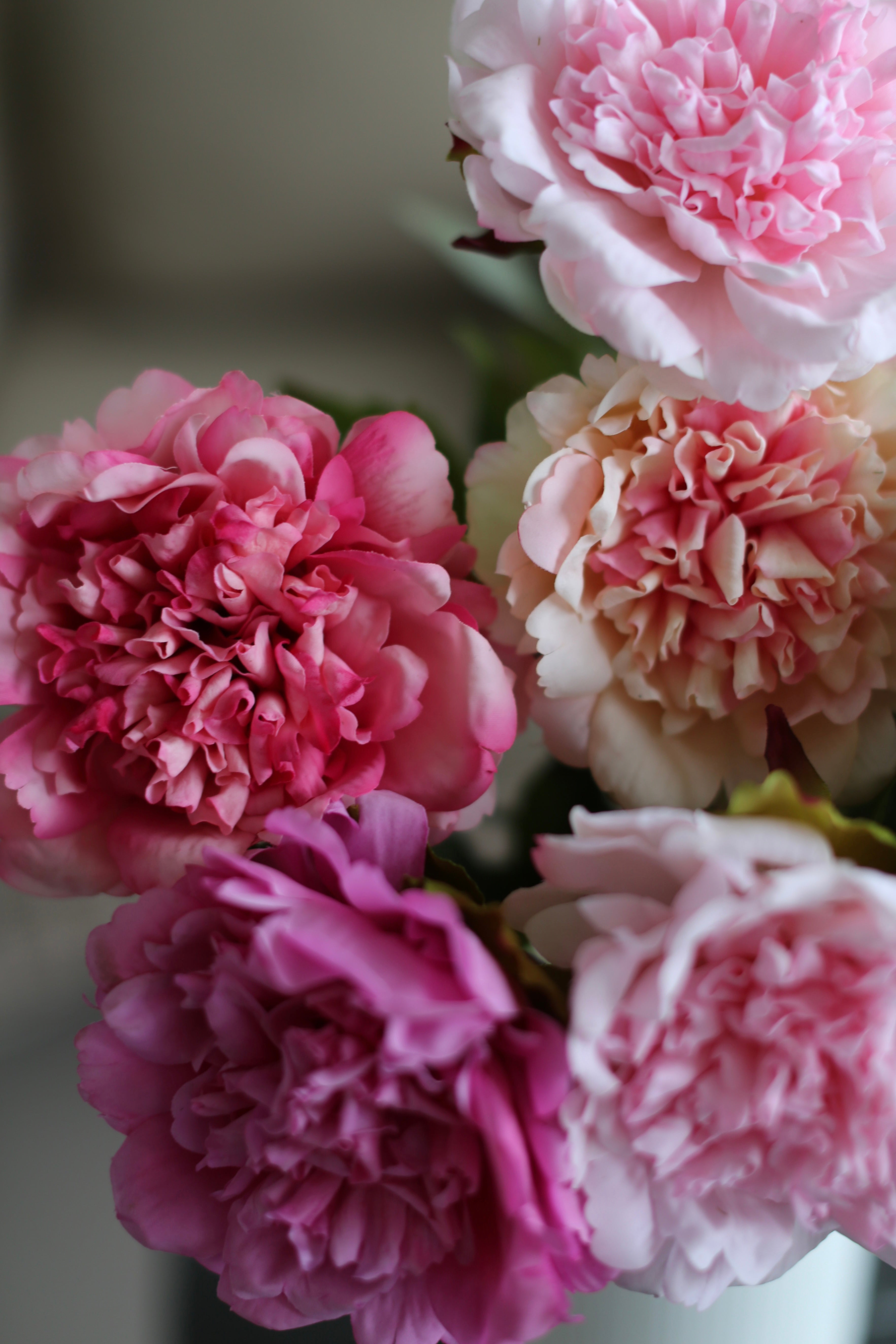 Le Grand Peony Bouquet