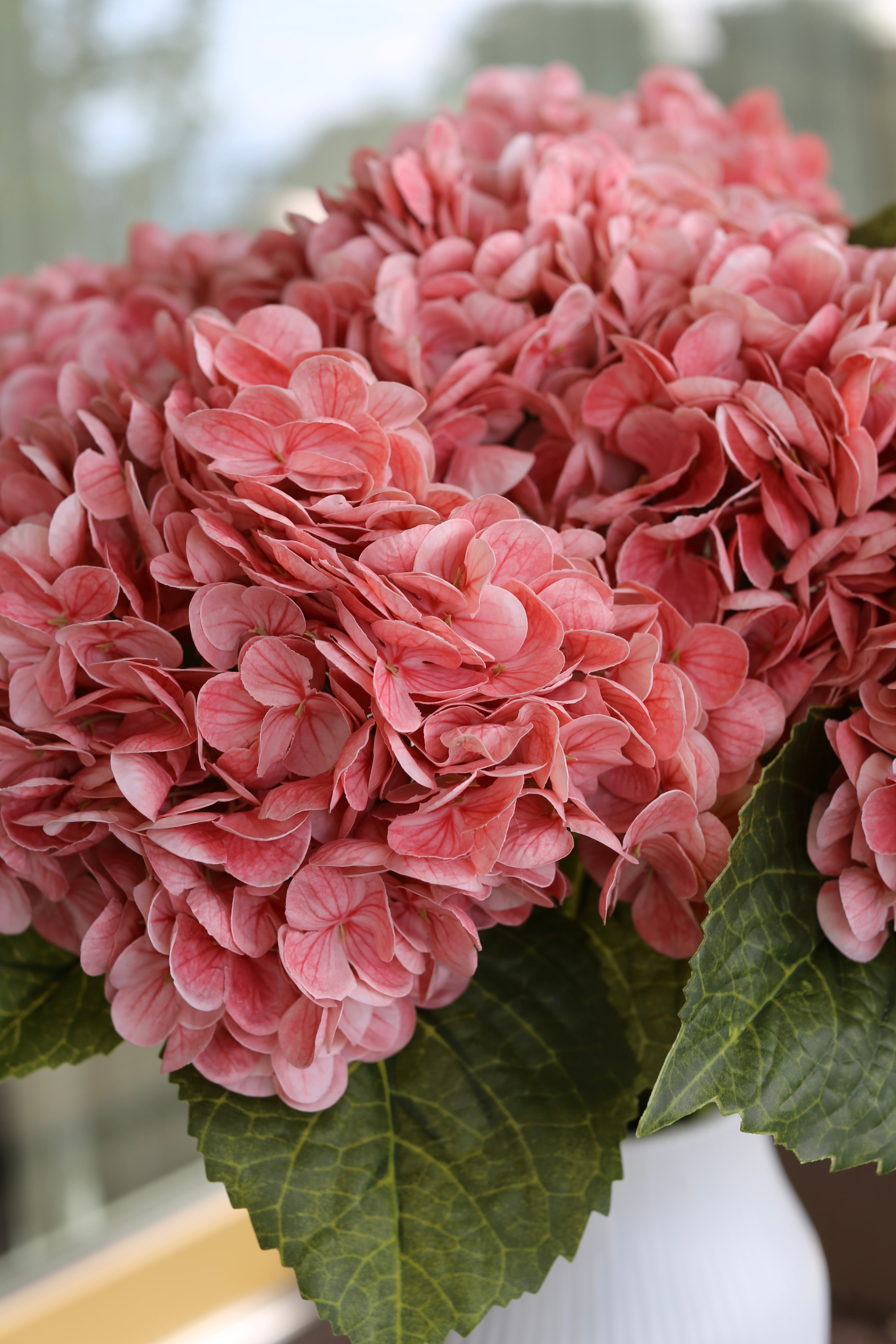 Baby Pink Hydrangea Bouquet
