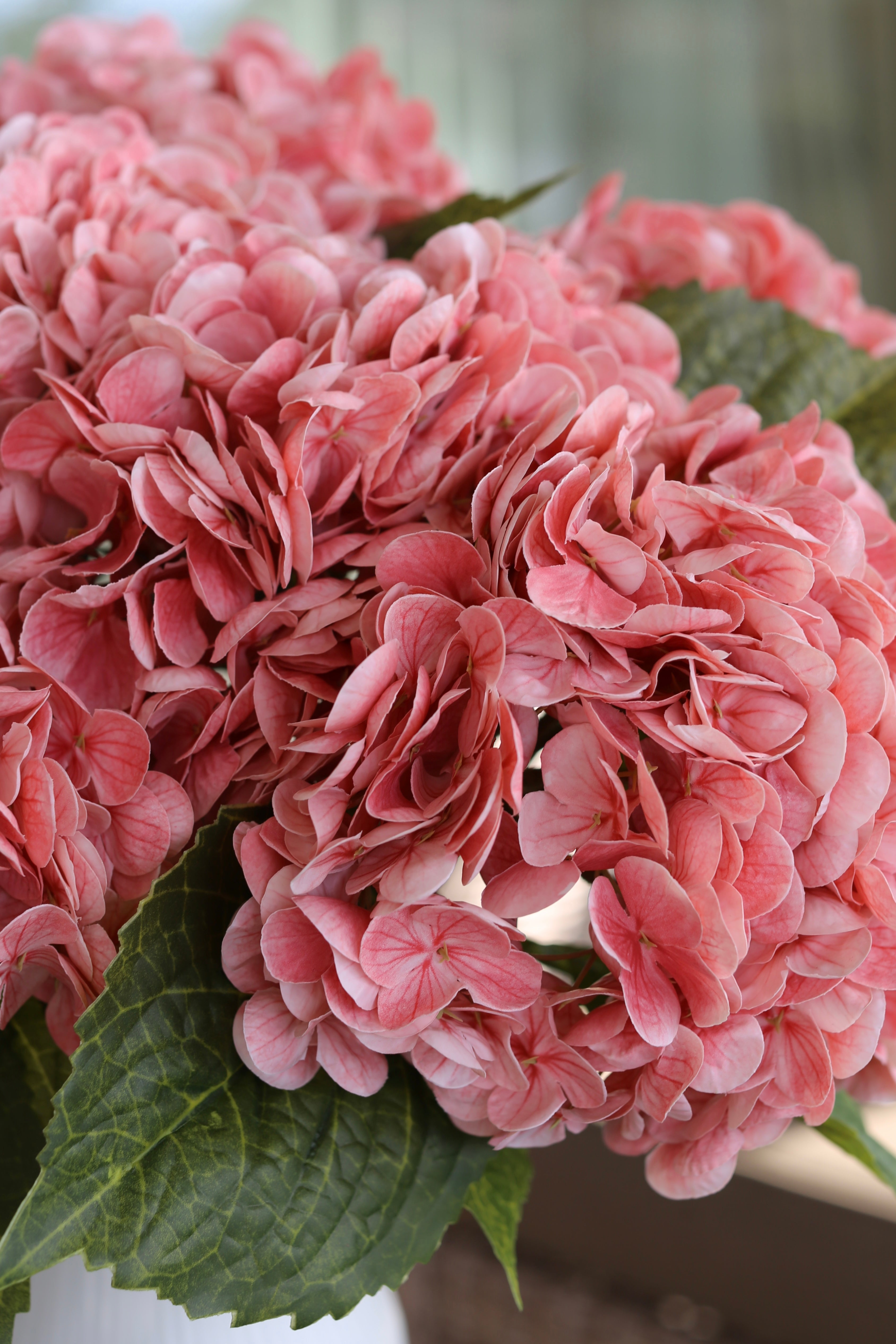 Baby Pink Hydrangea Bouquet