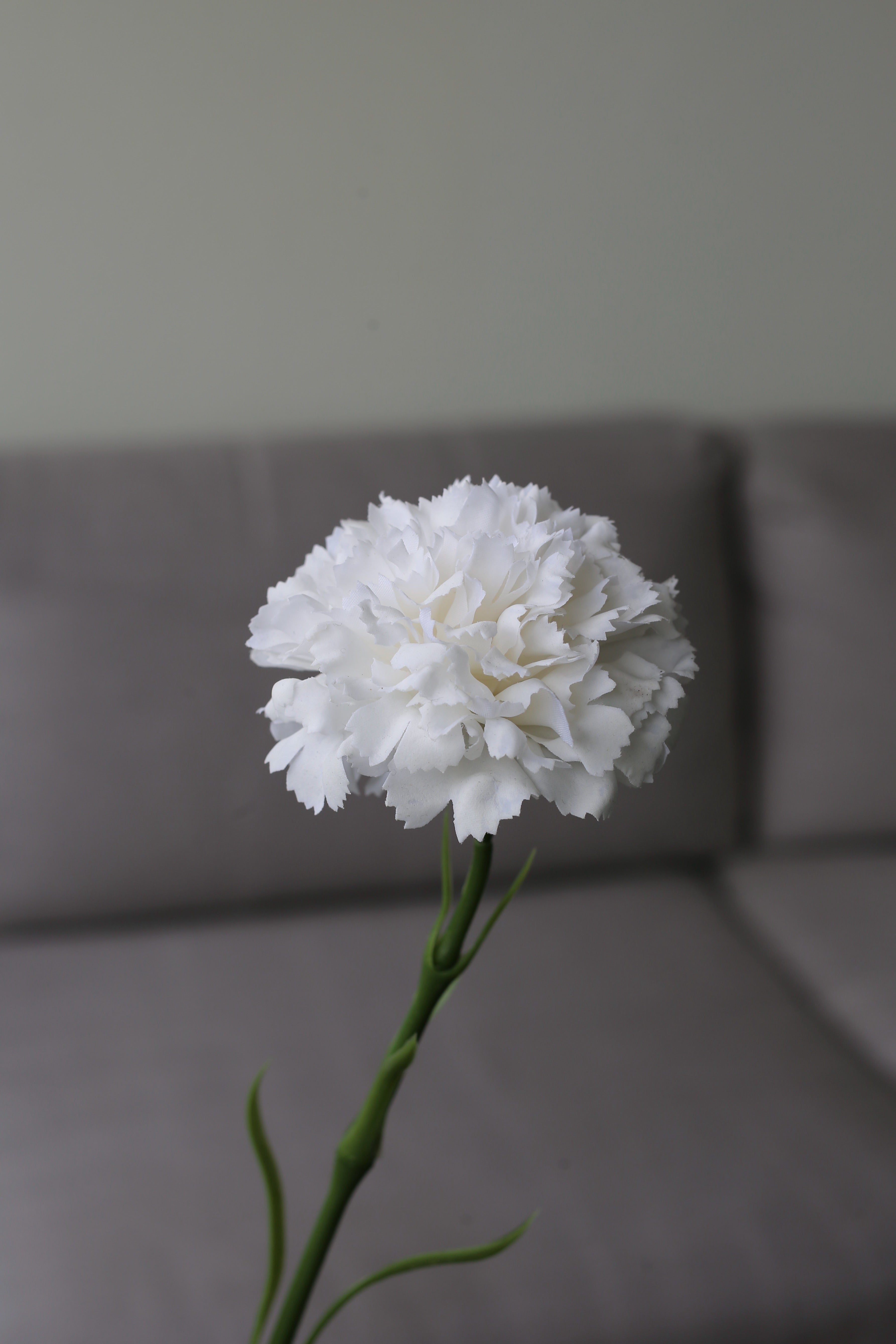 White Carnation – Premium Real Touch Stem