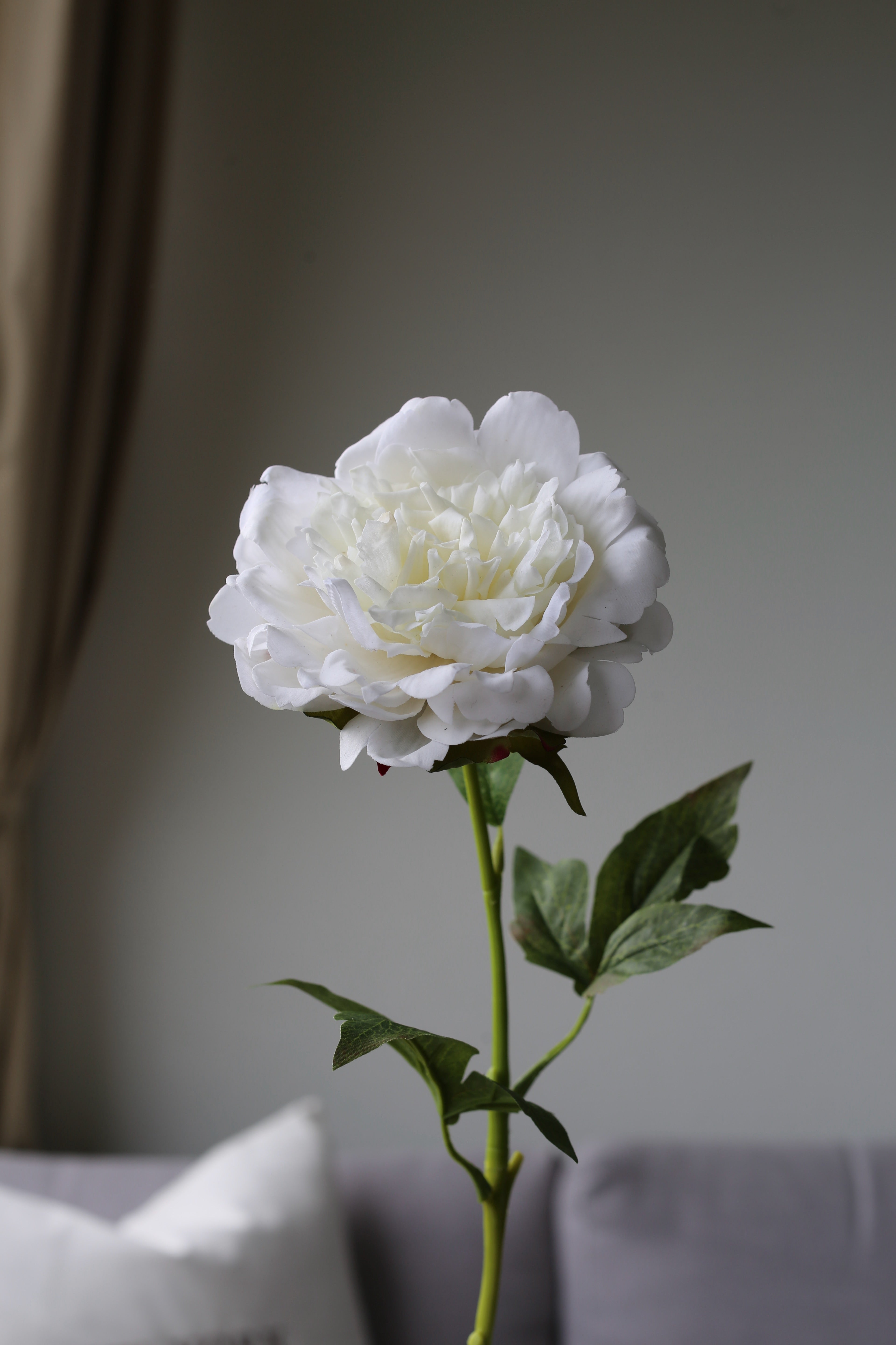 White Peony – Premium Real Touch Stem