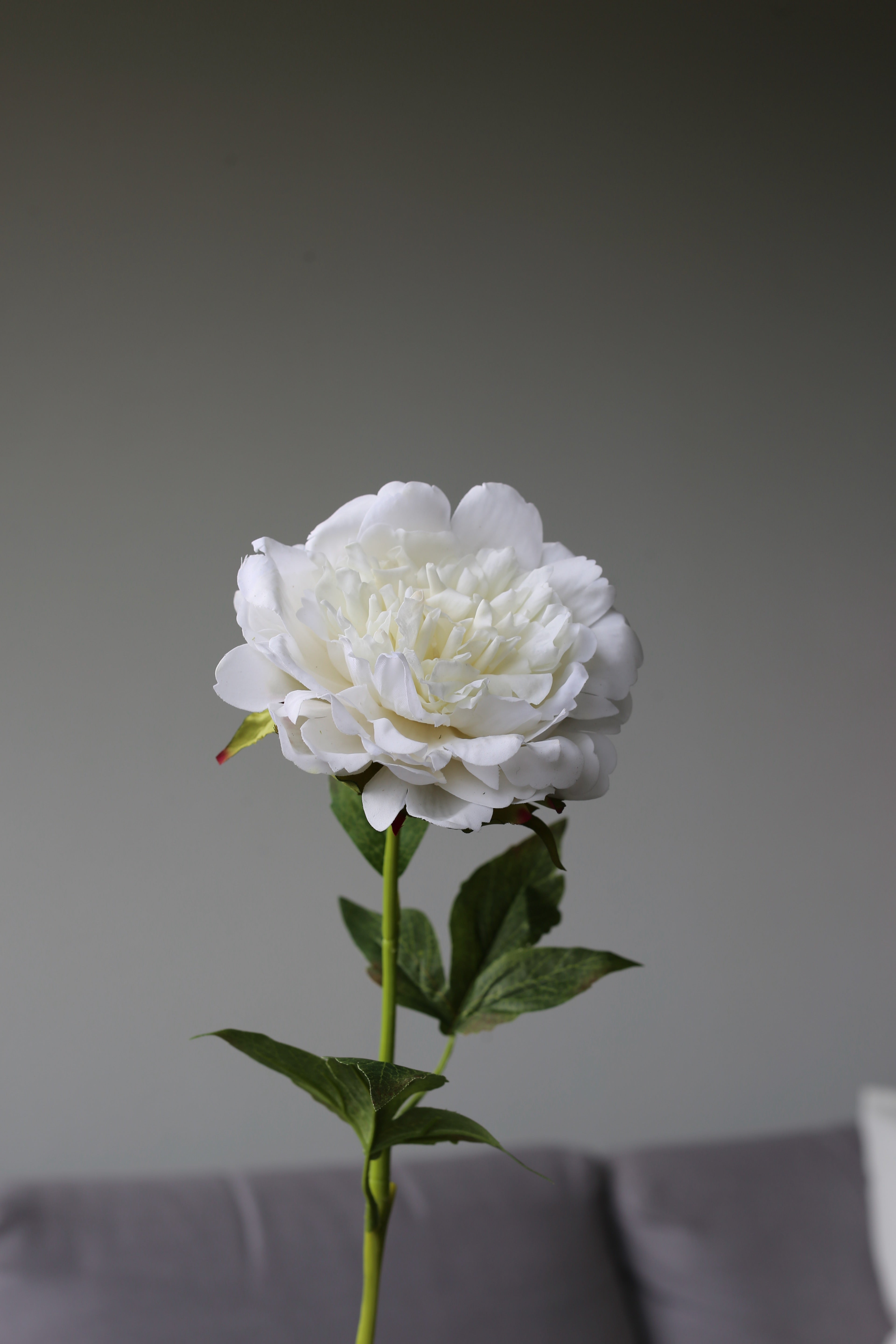 White Peony – Premium Real Touch Stem