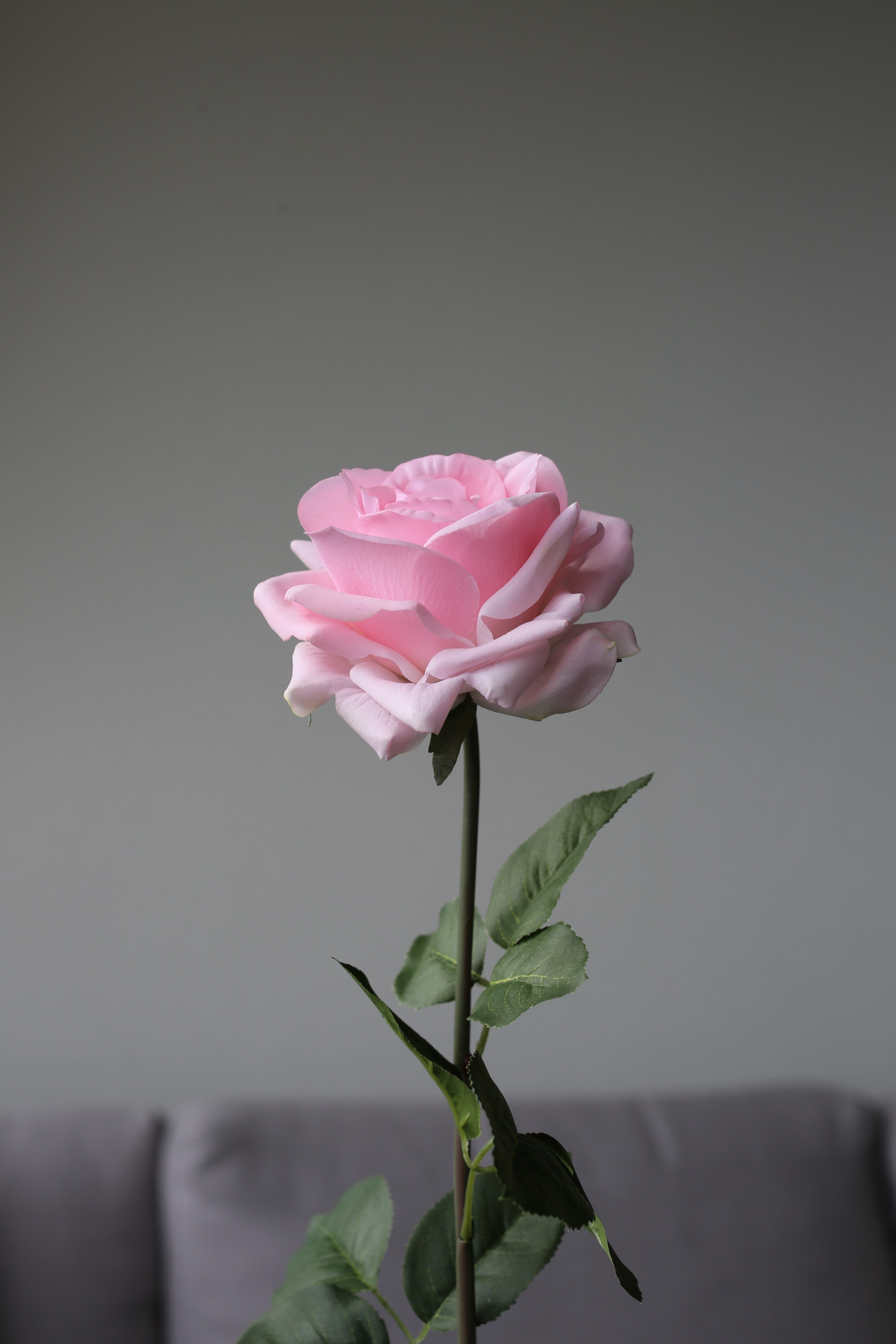 Pink Rose – Premium Real Touch Stem
