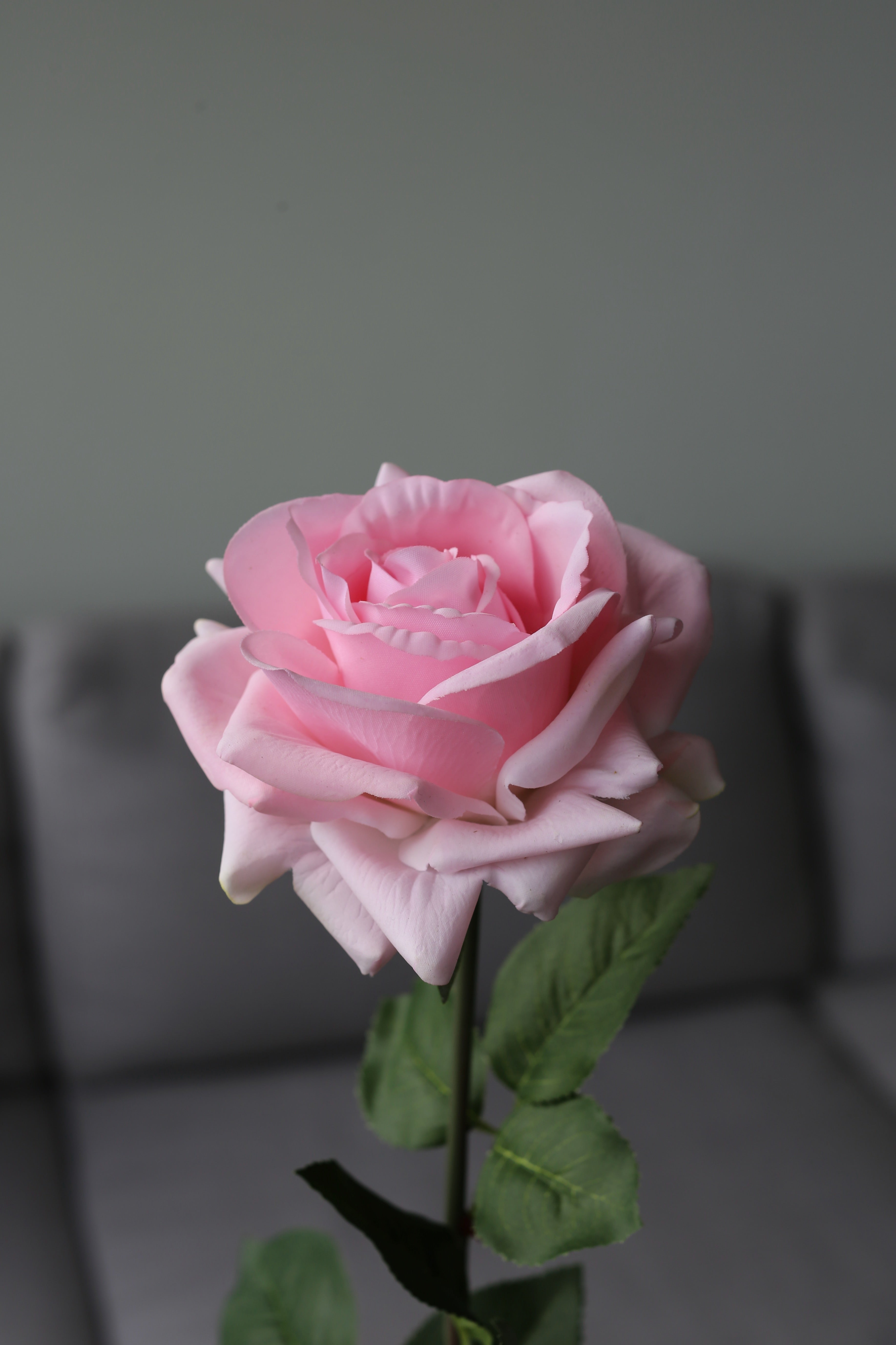 Pink Rose – Premium Real Touch Stem