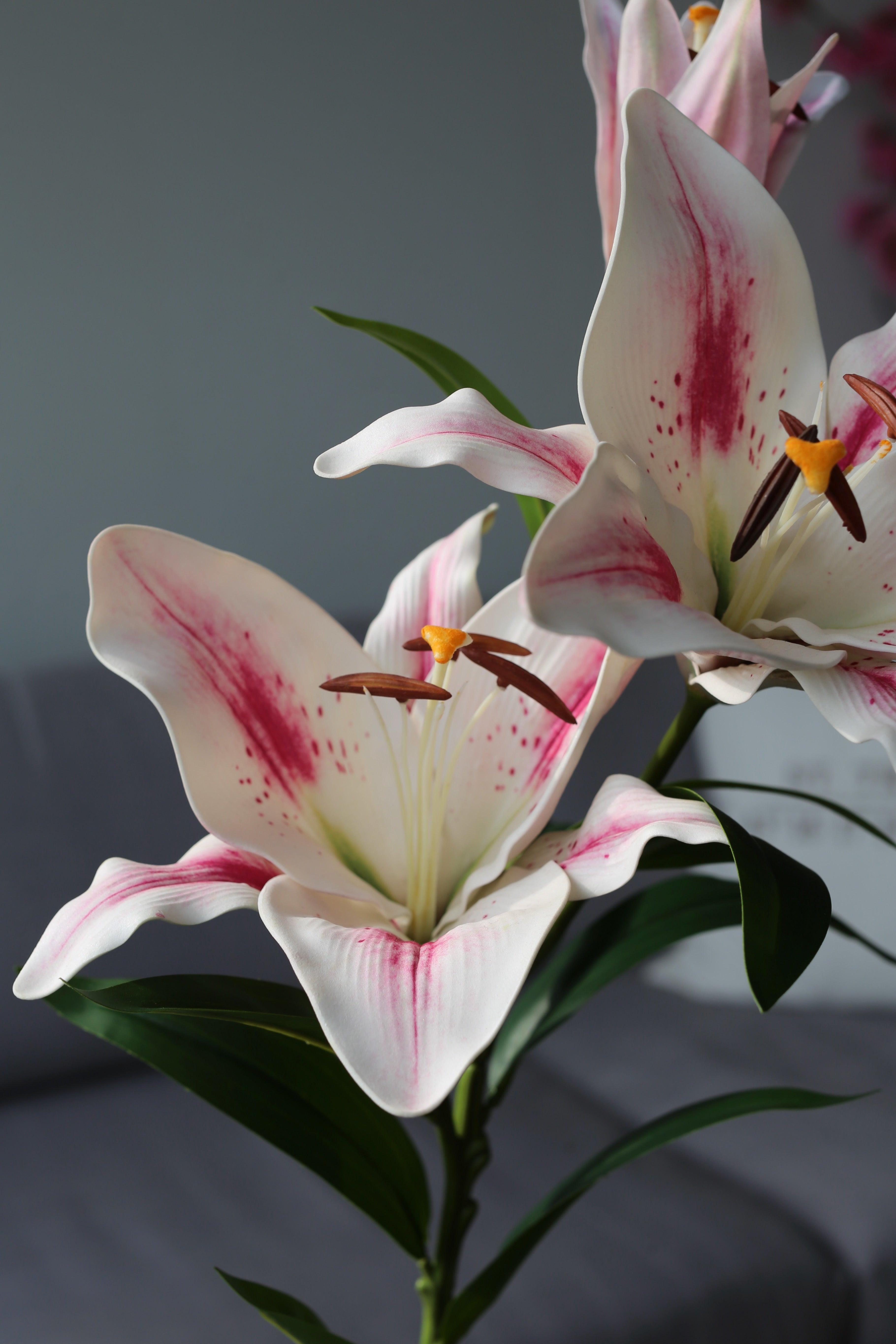 Pink Stargazer Lily – Premium Real Touch Stem