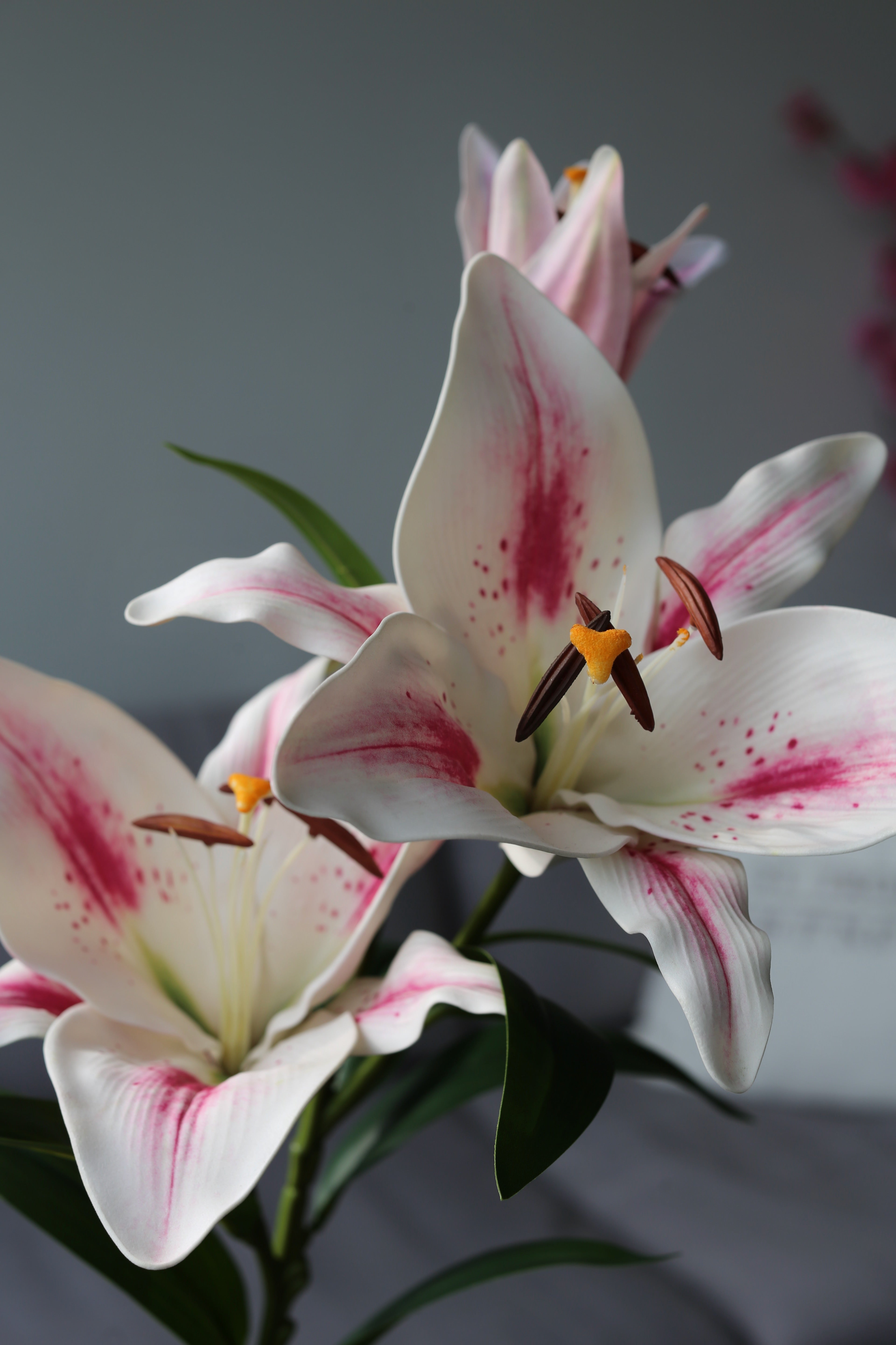 Pink Stargazer Lily – Premium Real Touch Stem