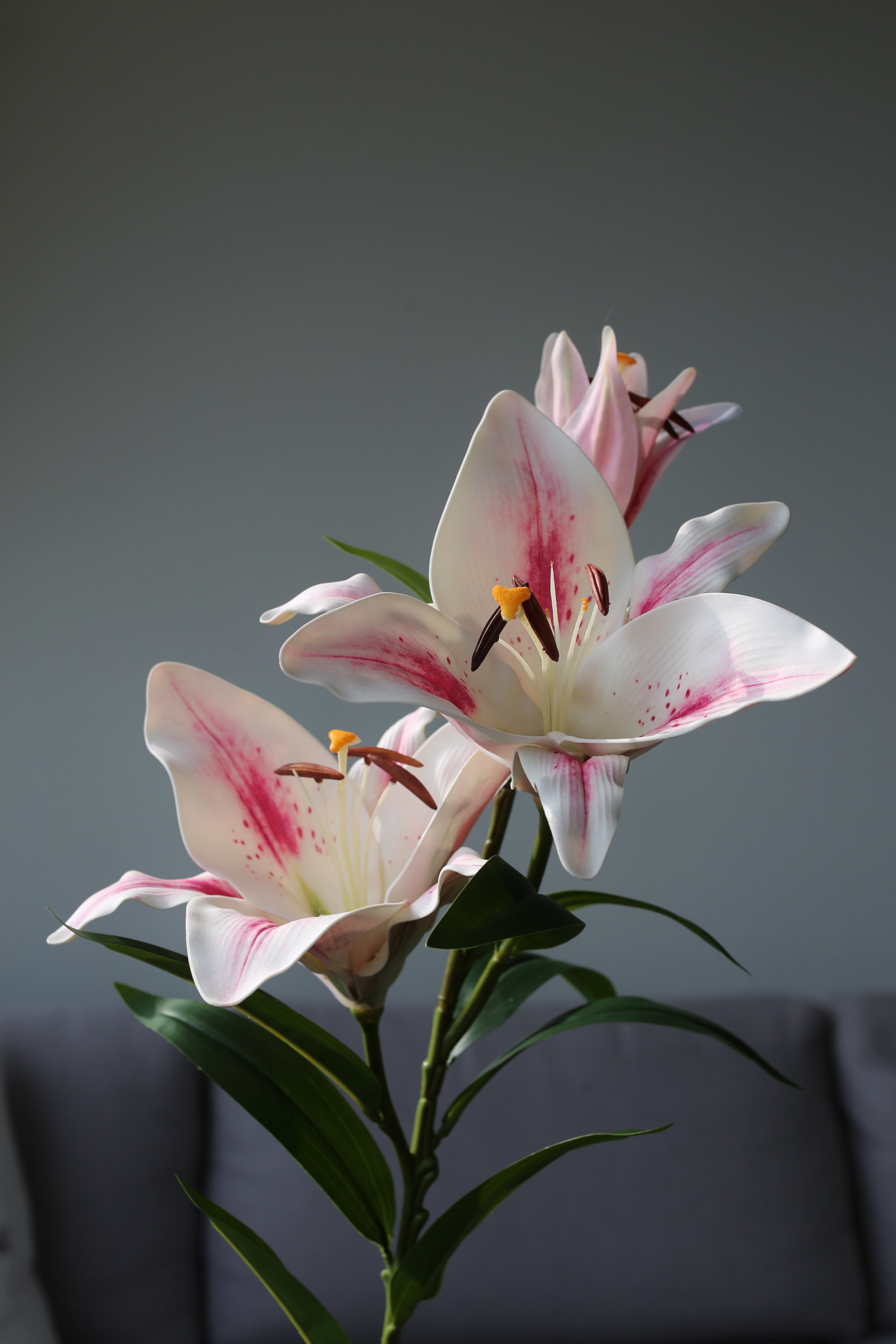 Pink Stargazer Lily – Premium Real Touch Stem