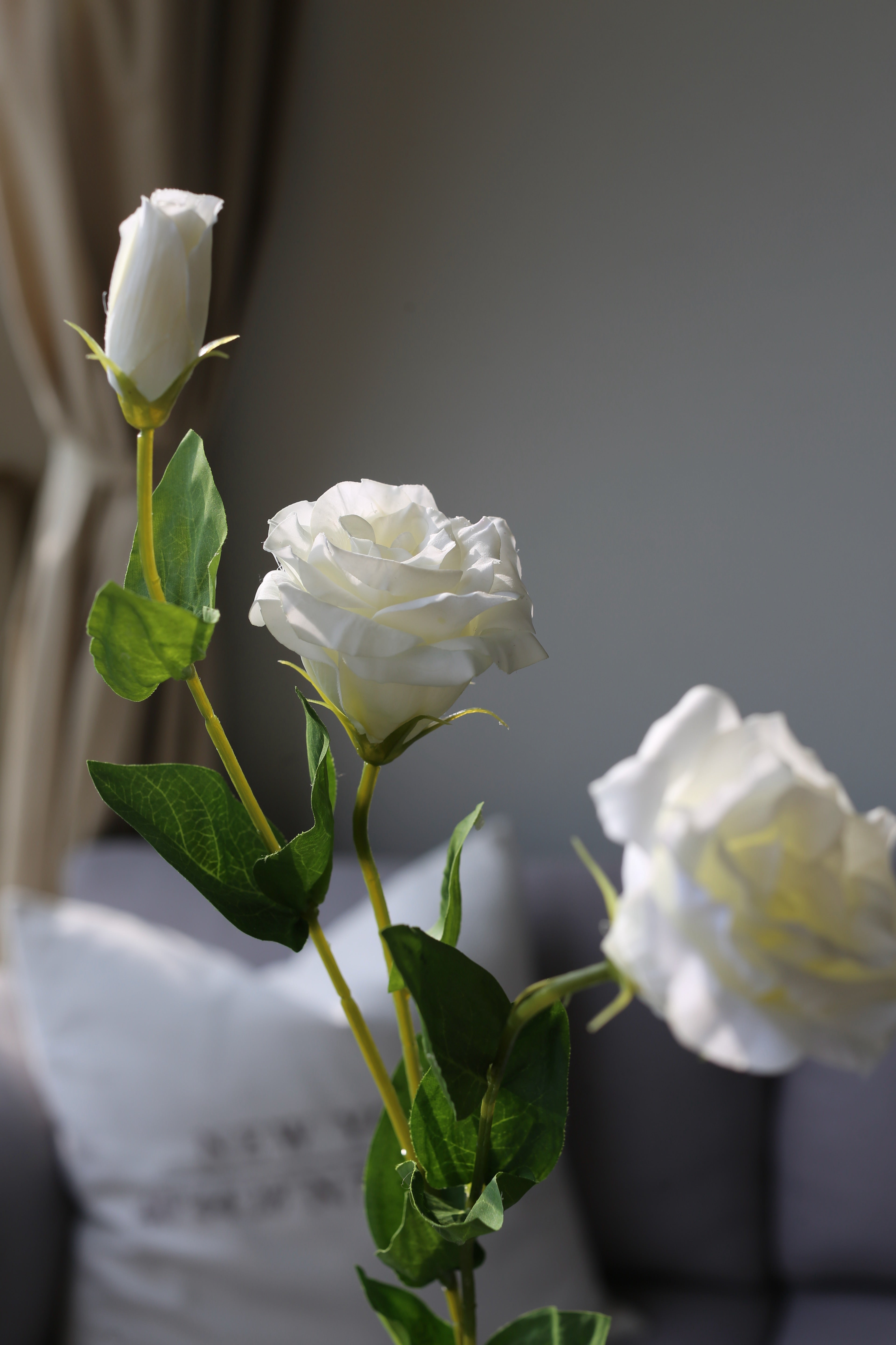 White Lisianthus (Eustoma) – Premium Real Touch Stem