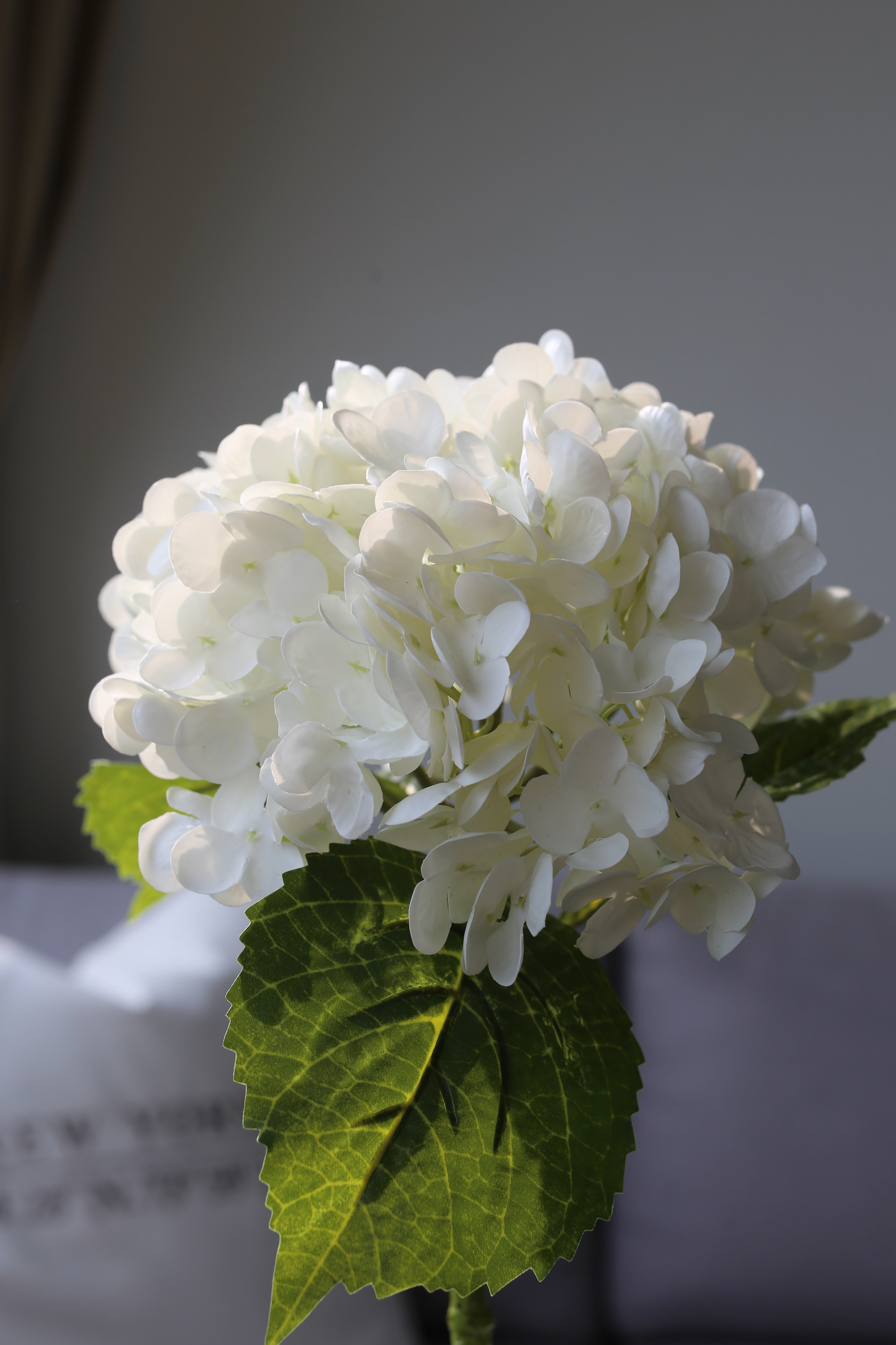 White Hydrangea – Premium Real Touch Stem