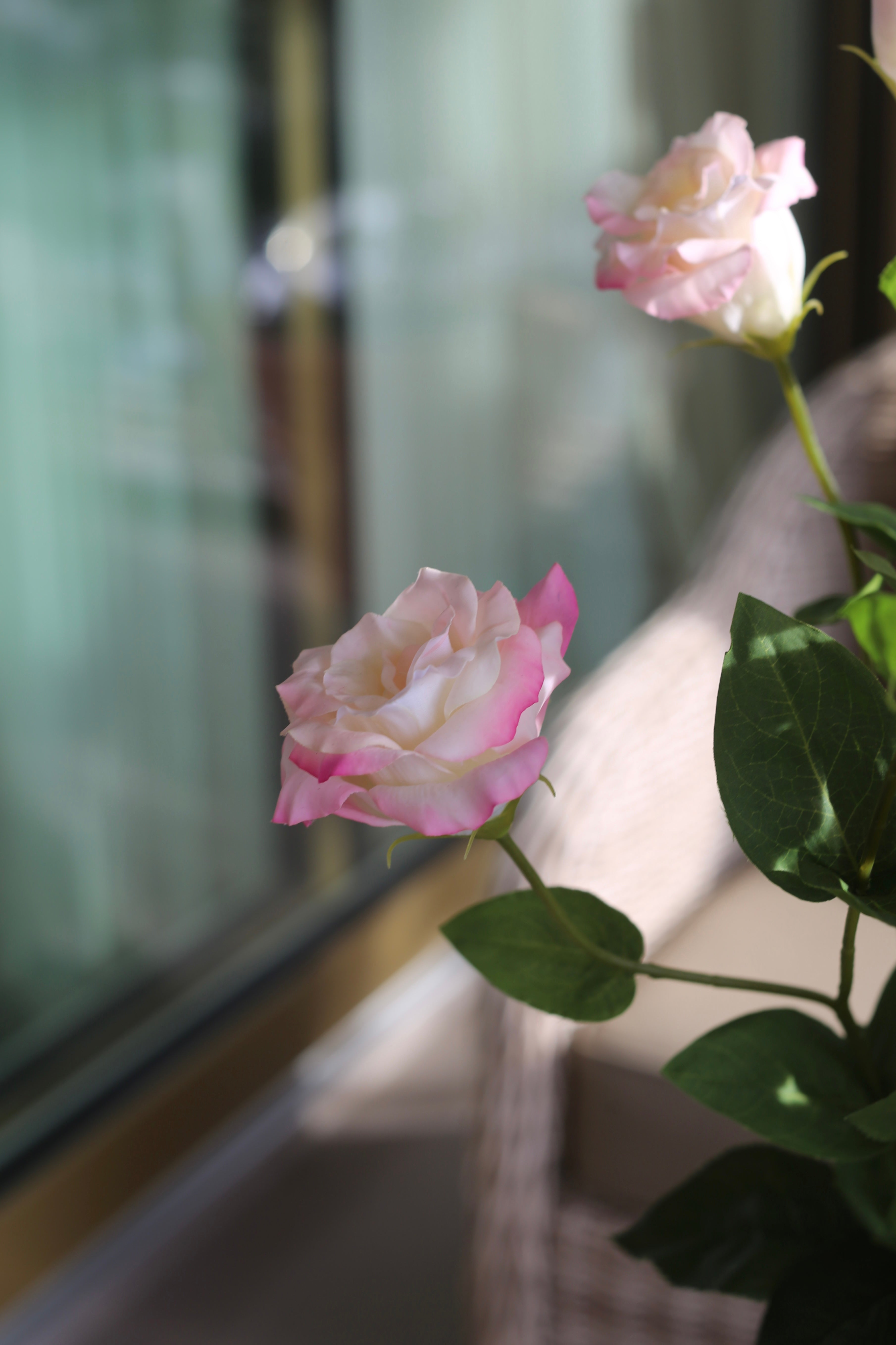 Pink Dream
