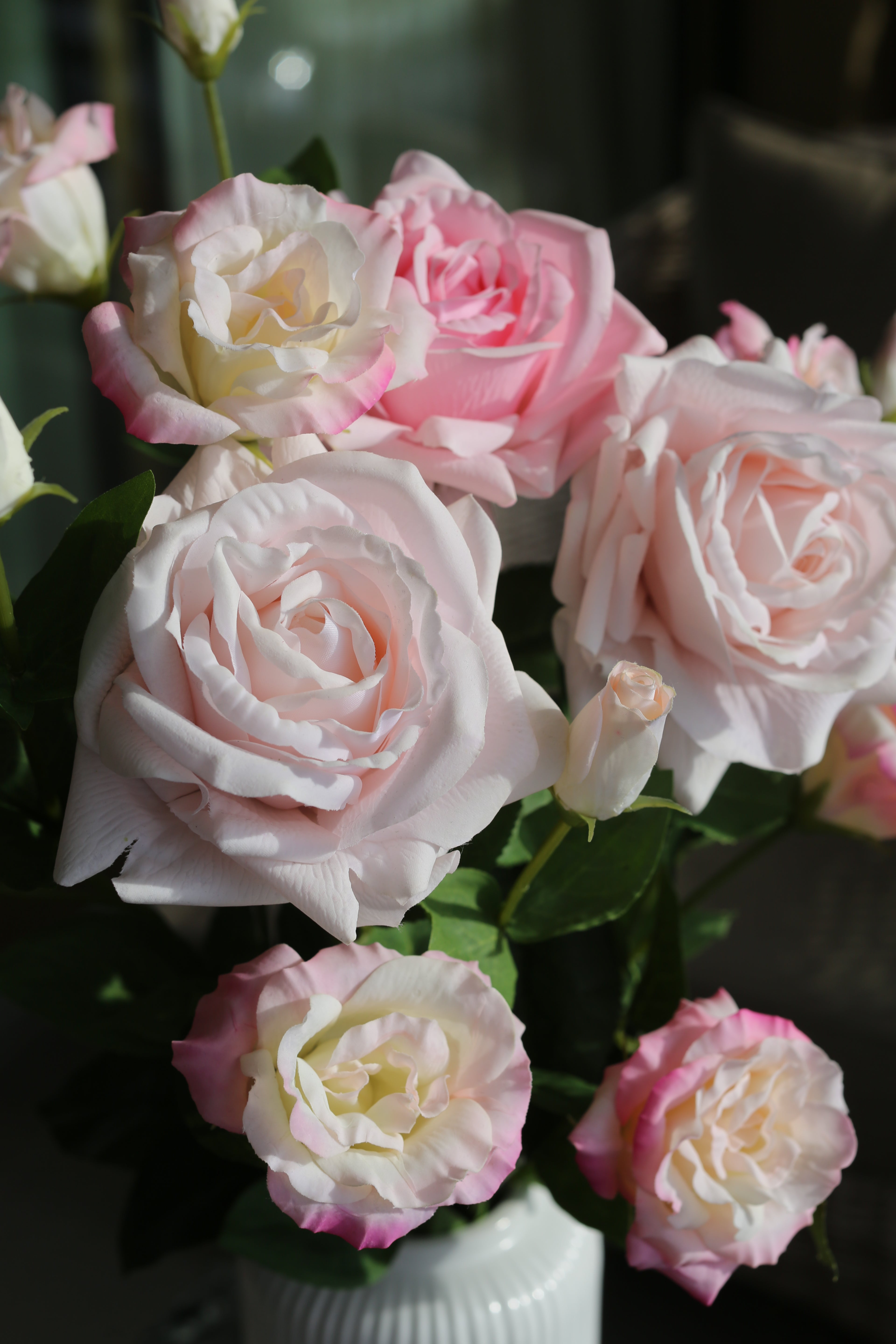 Pink Dream