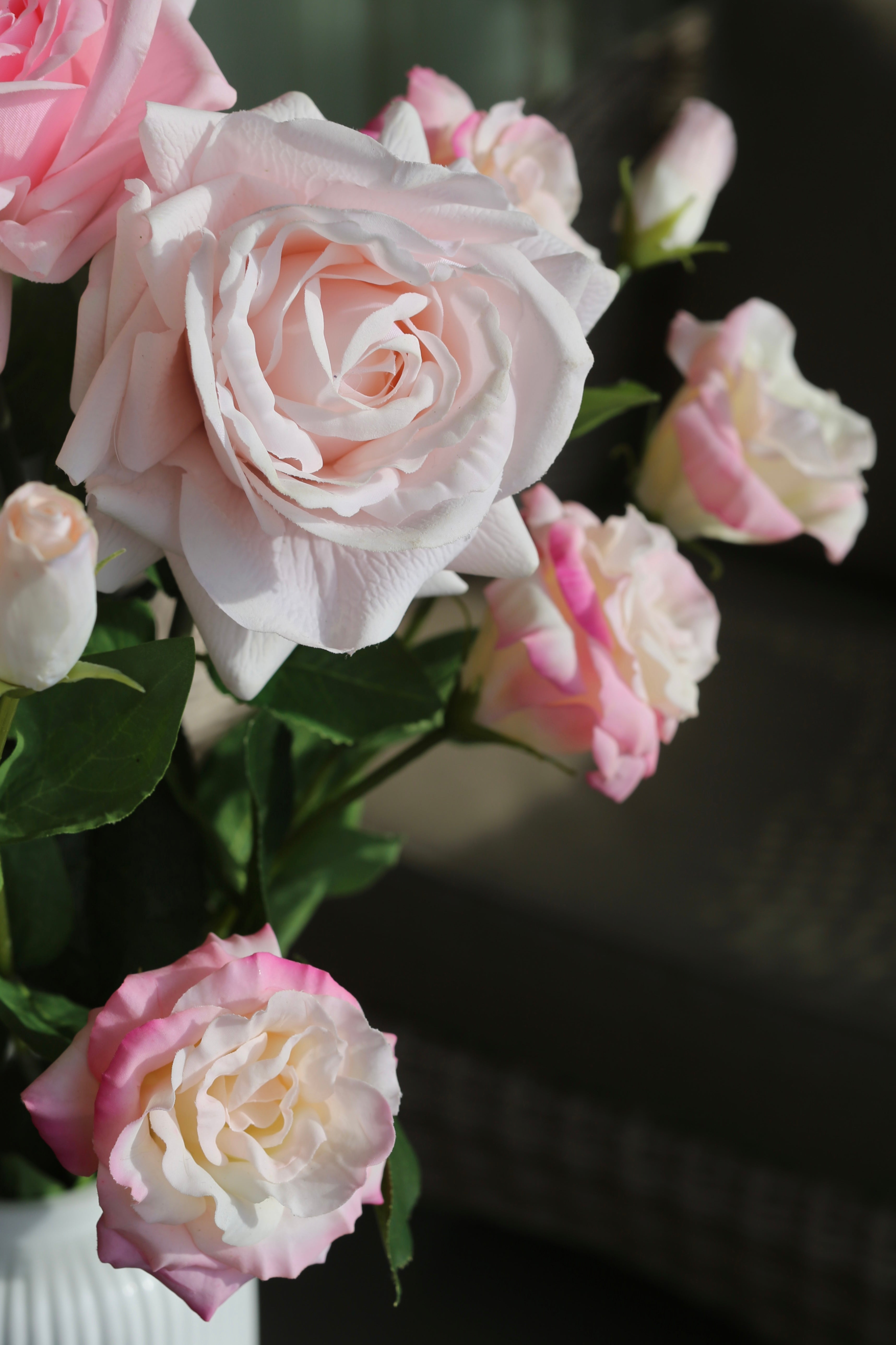 Pink Dream