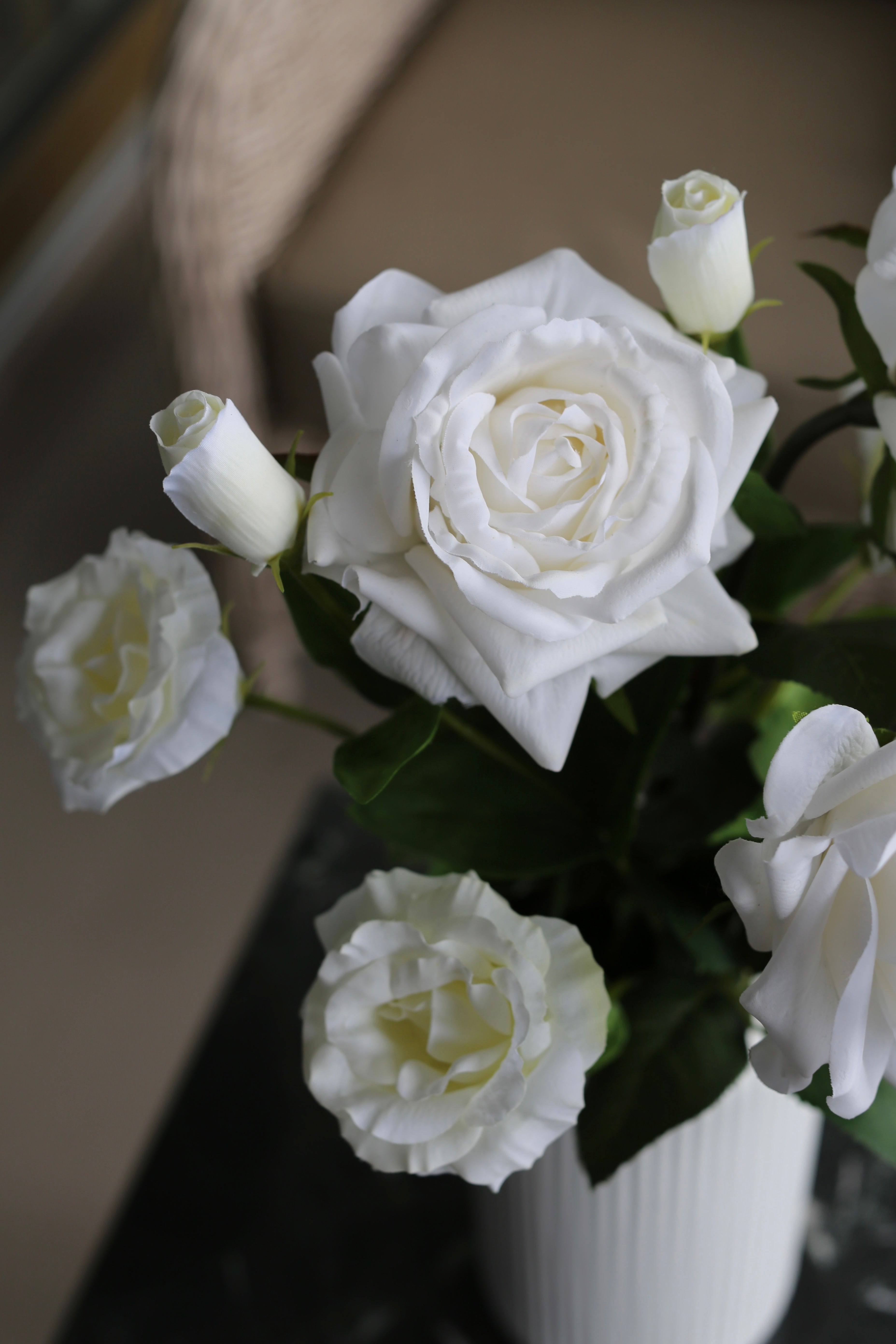 Snow Rose