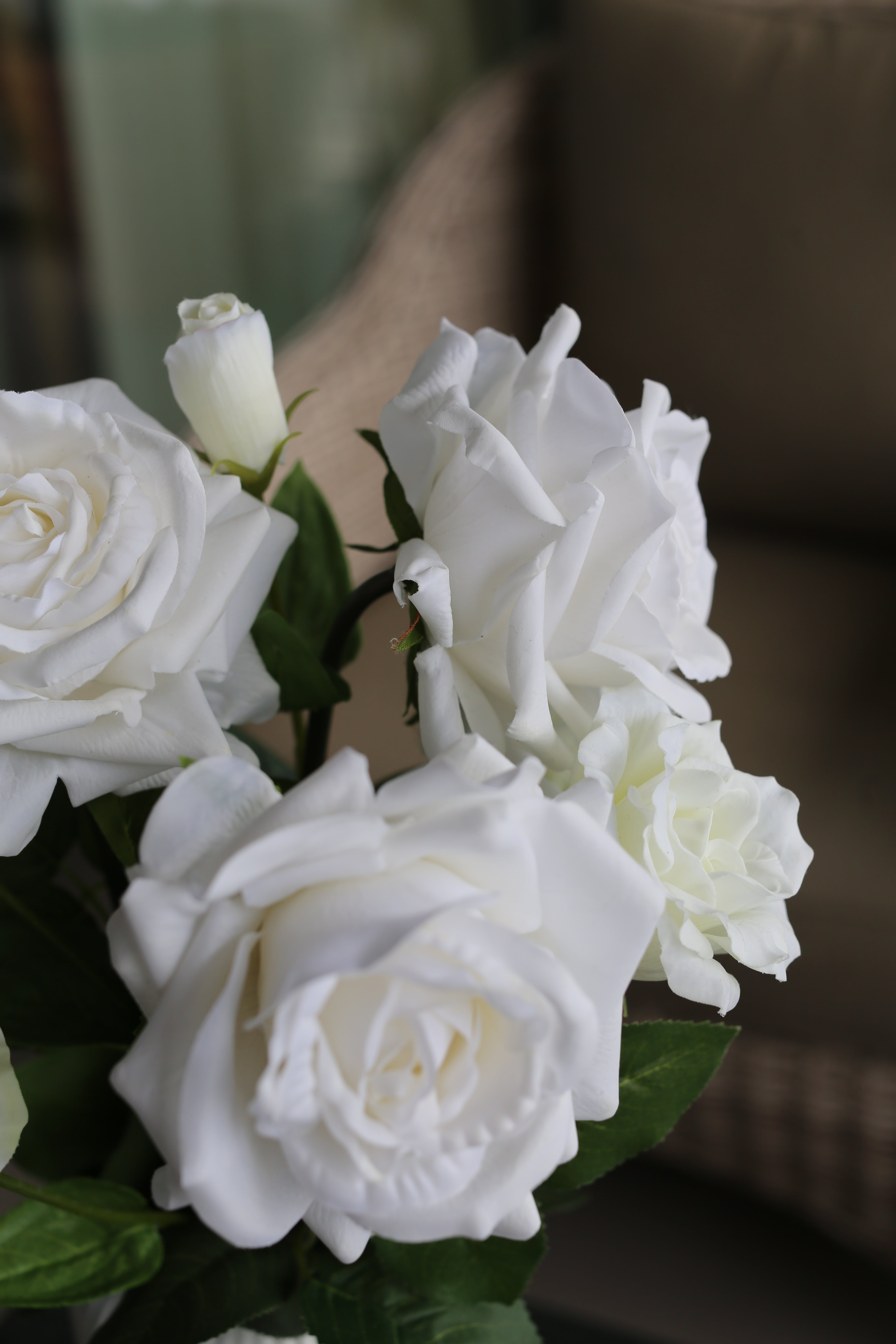 Snow Rose