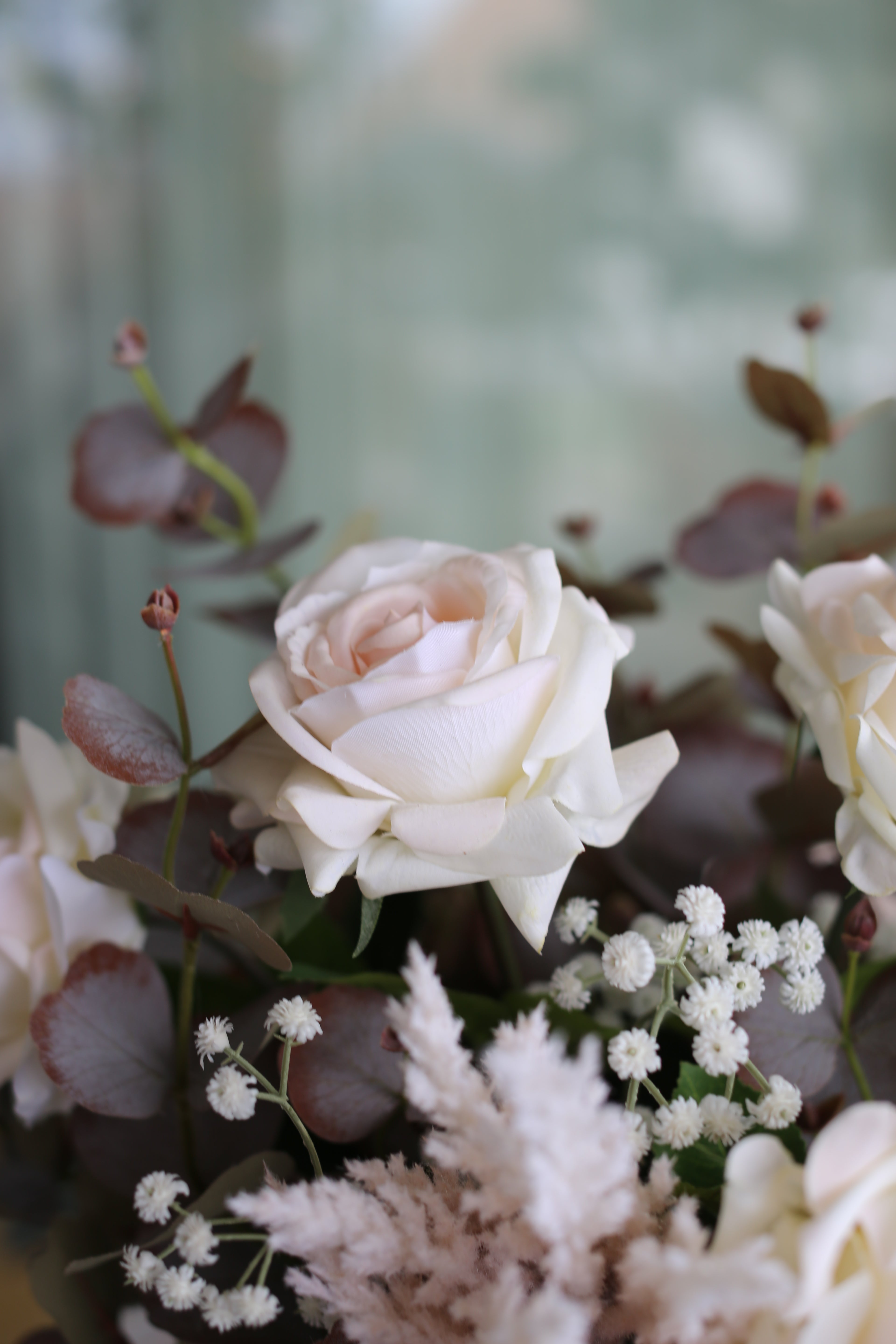 Frosted Rose