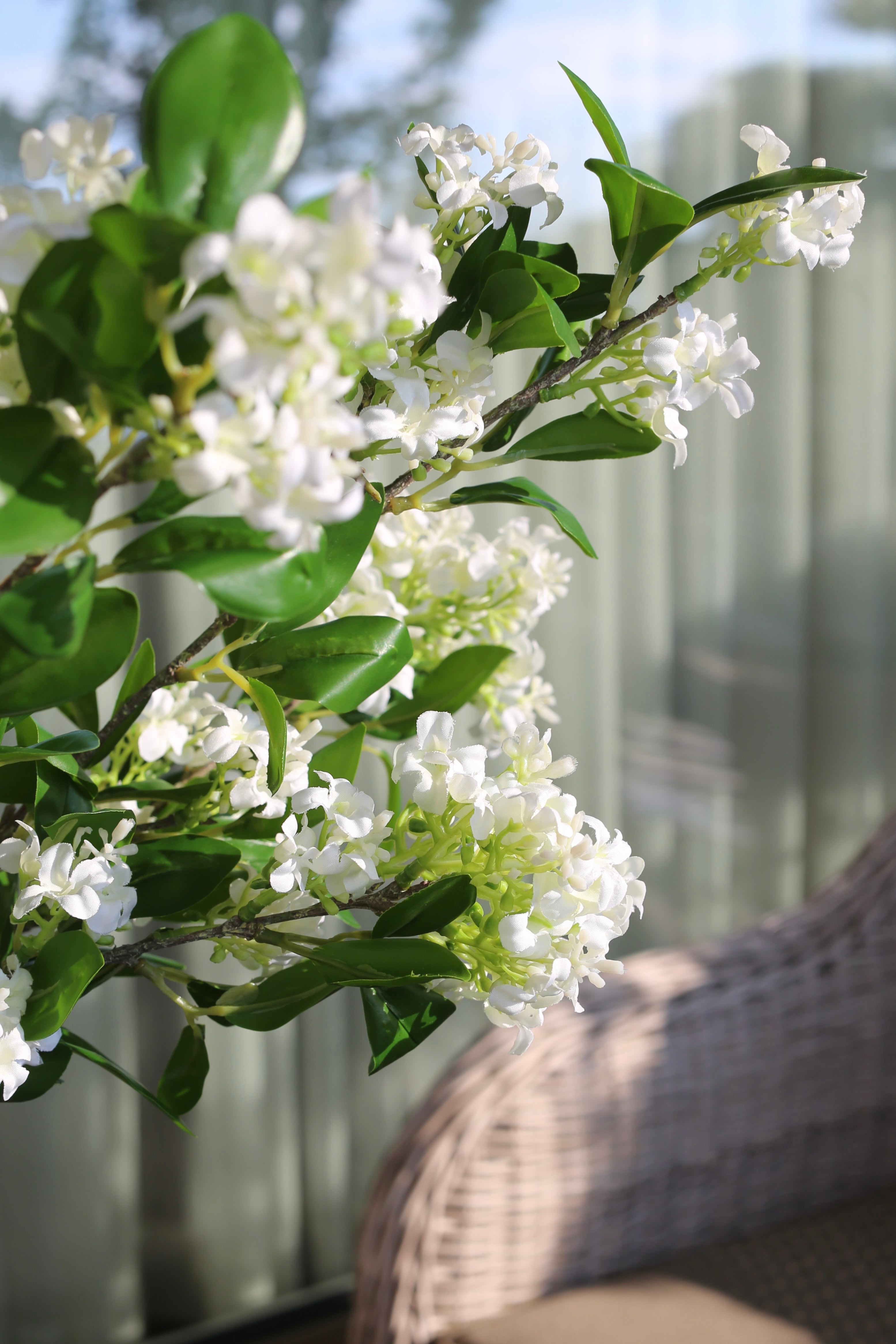Lilas Blanc 6 Branches