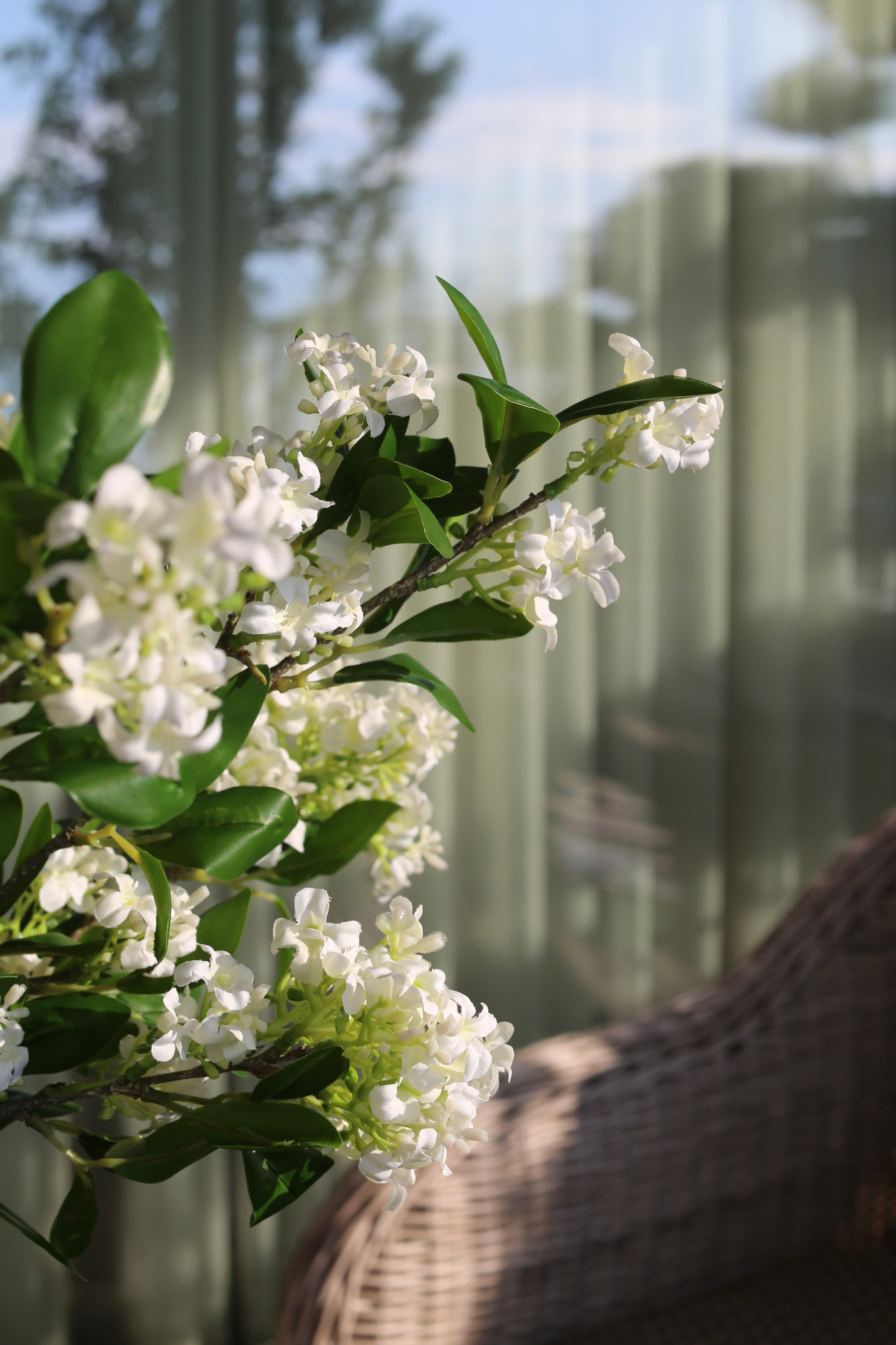 Lilas Blanc 6 Branches