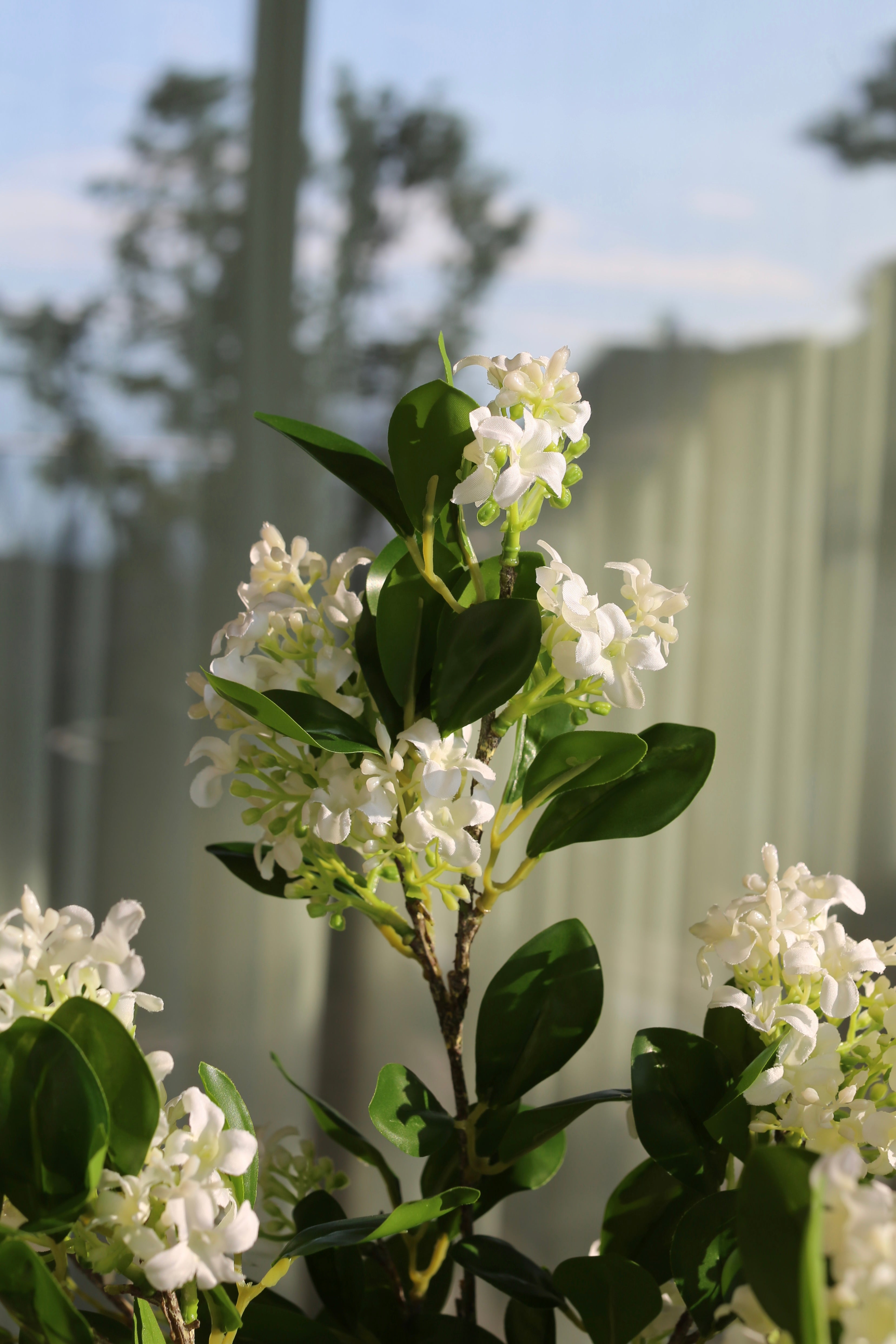 Lilas Blanc 6 Branches