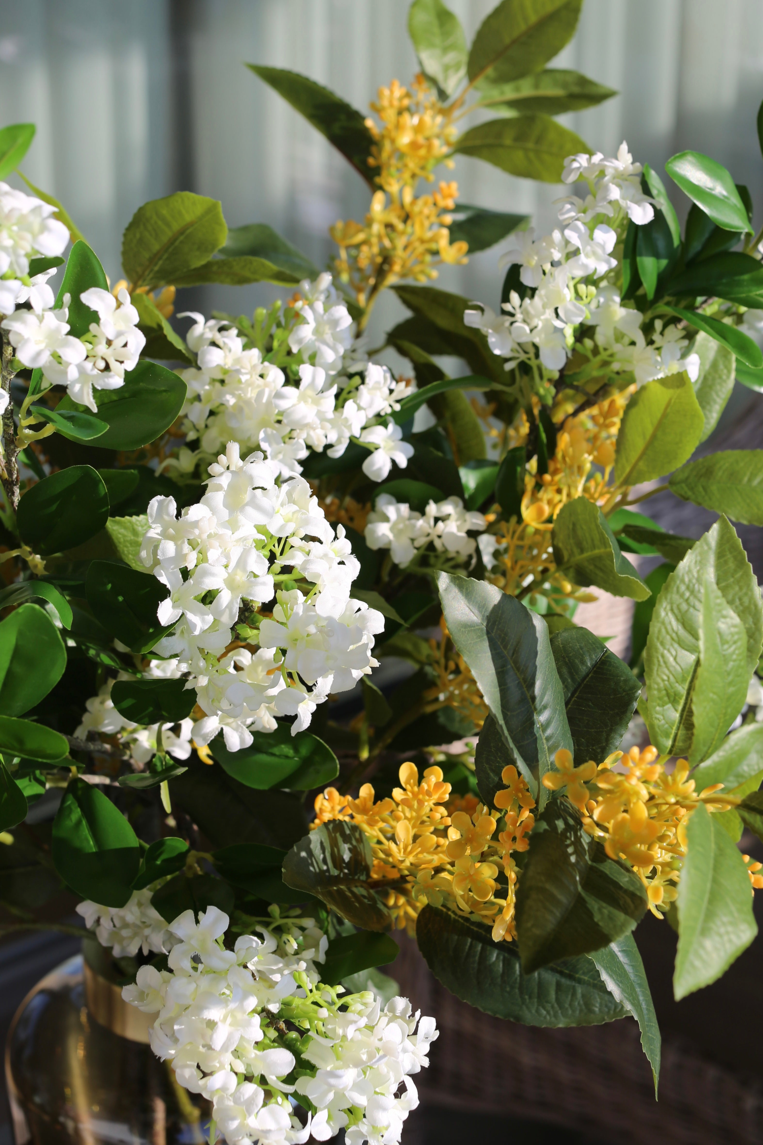 Spring Blossoms