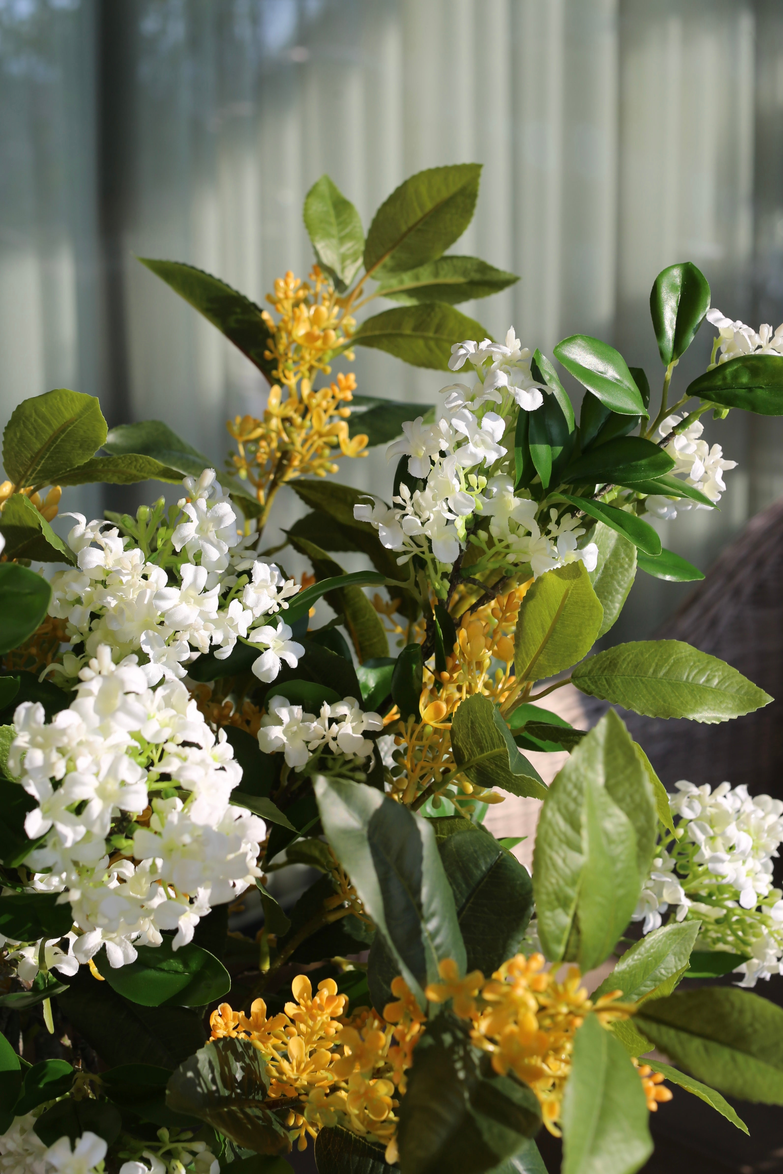 Spring Blossoms