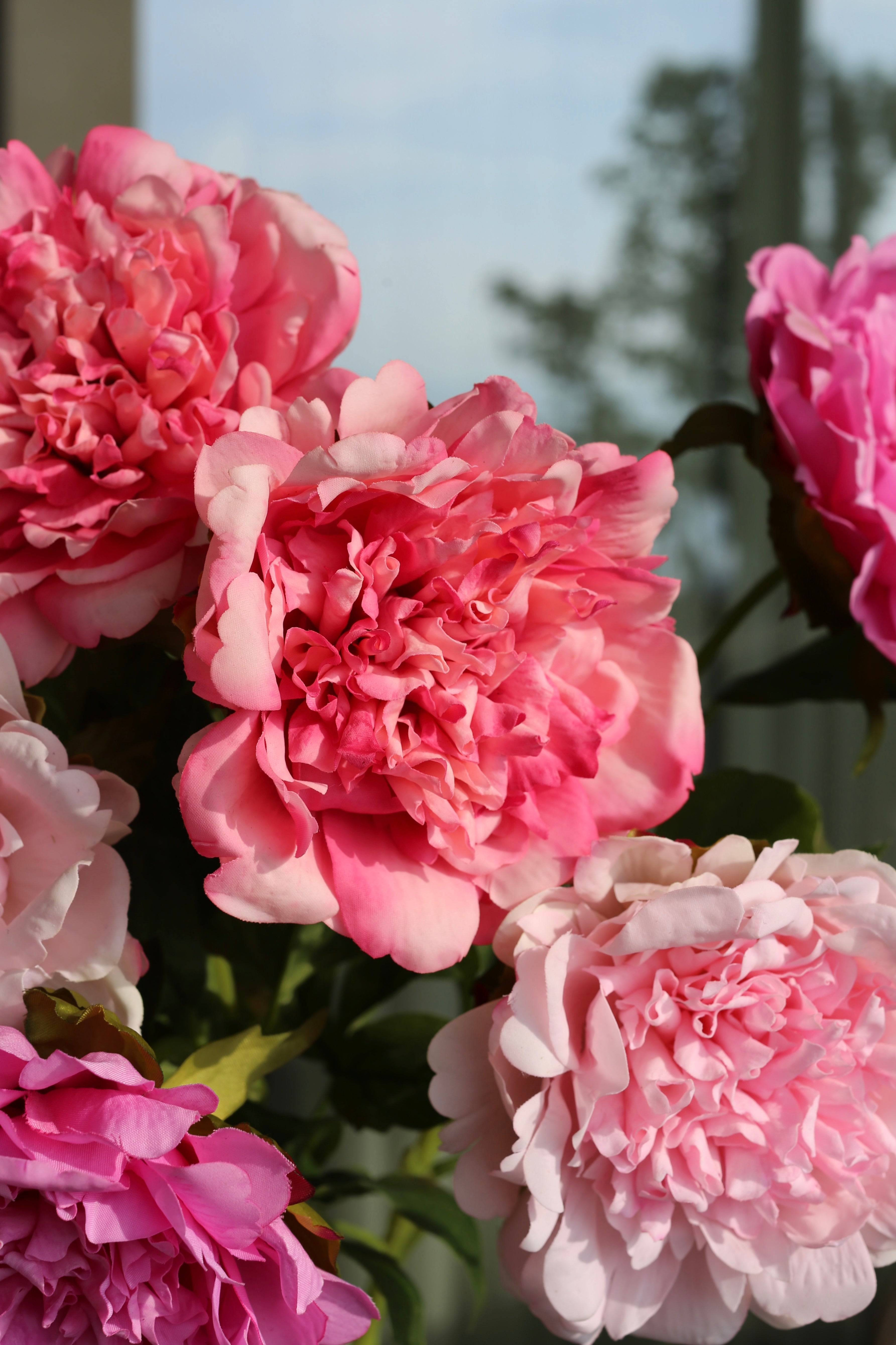 Pink Party Peony Bouquet