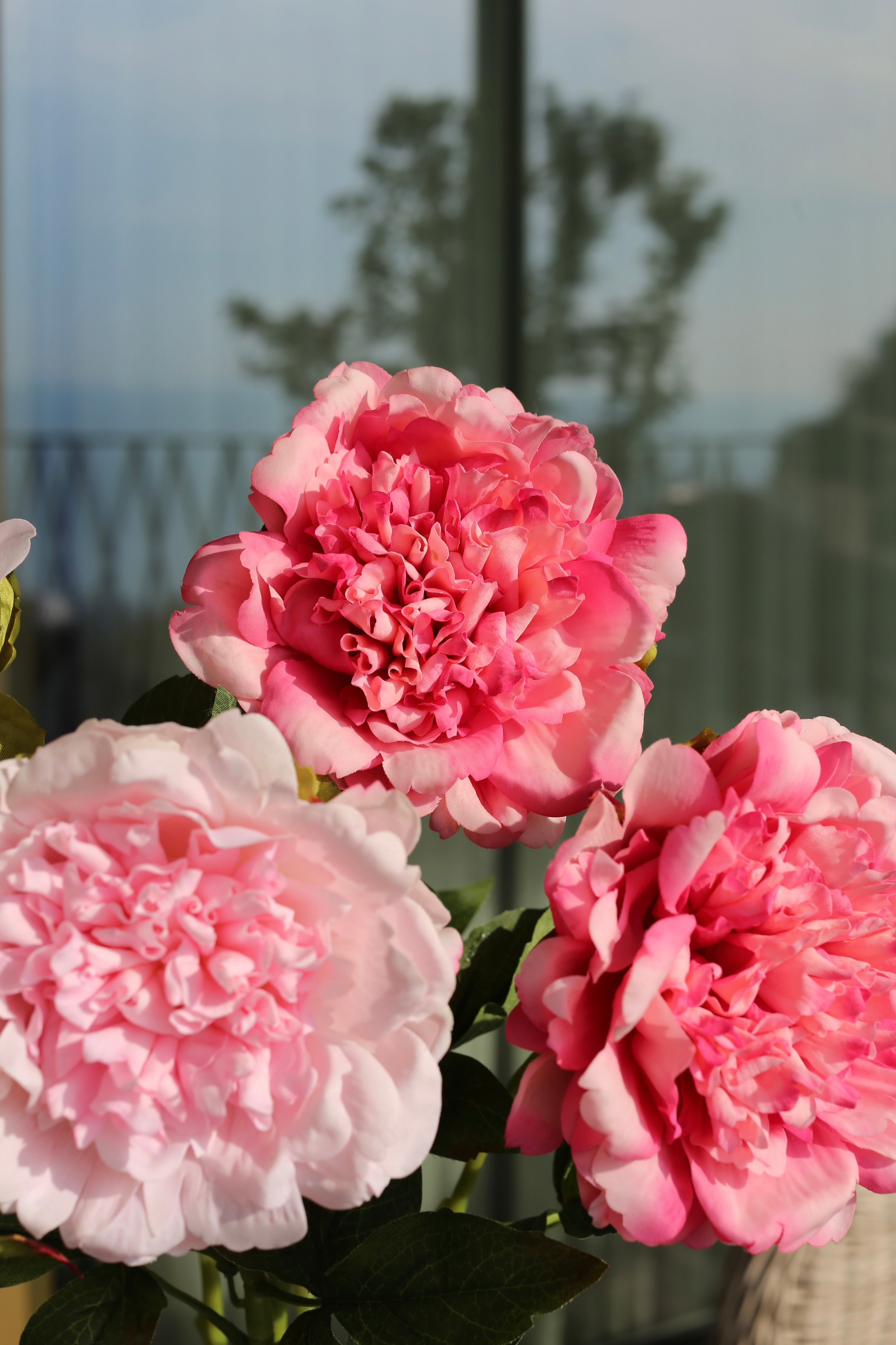 Premium Peony Bouquet Pink