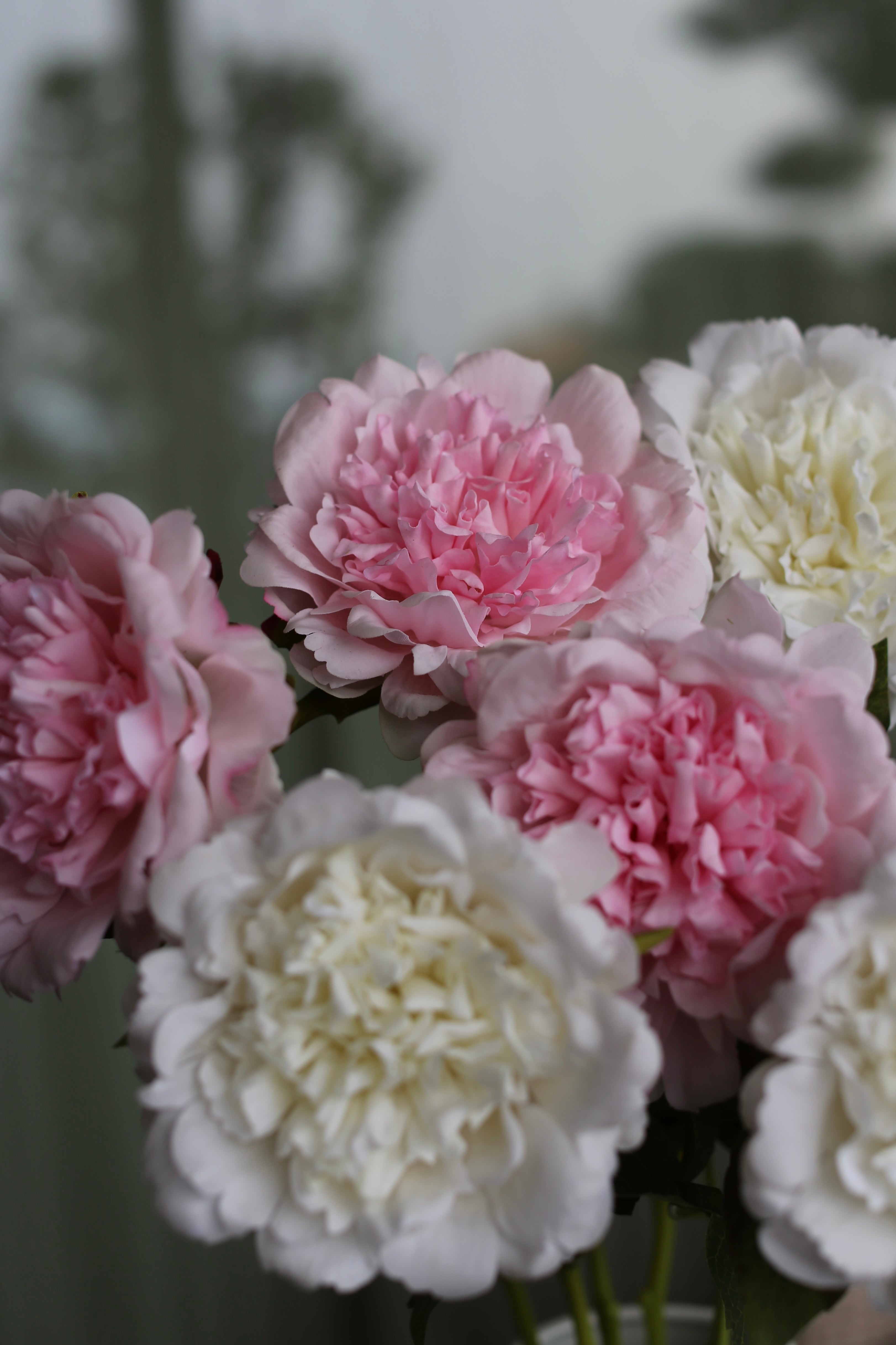 Premium Peony Bouquet Pink & White