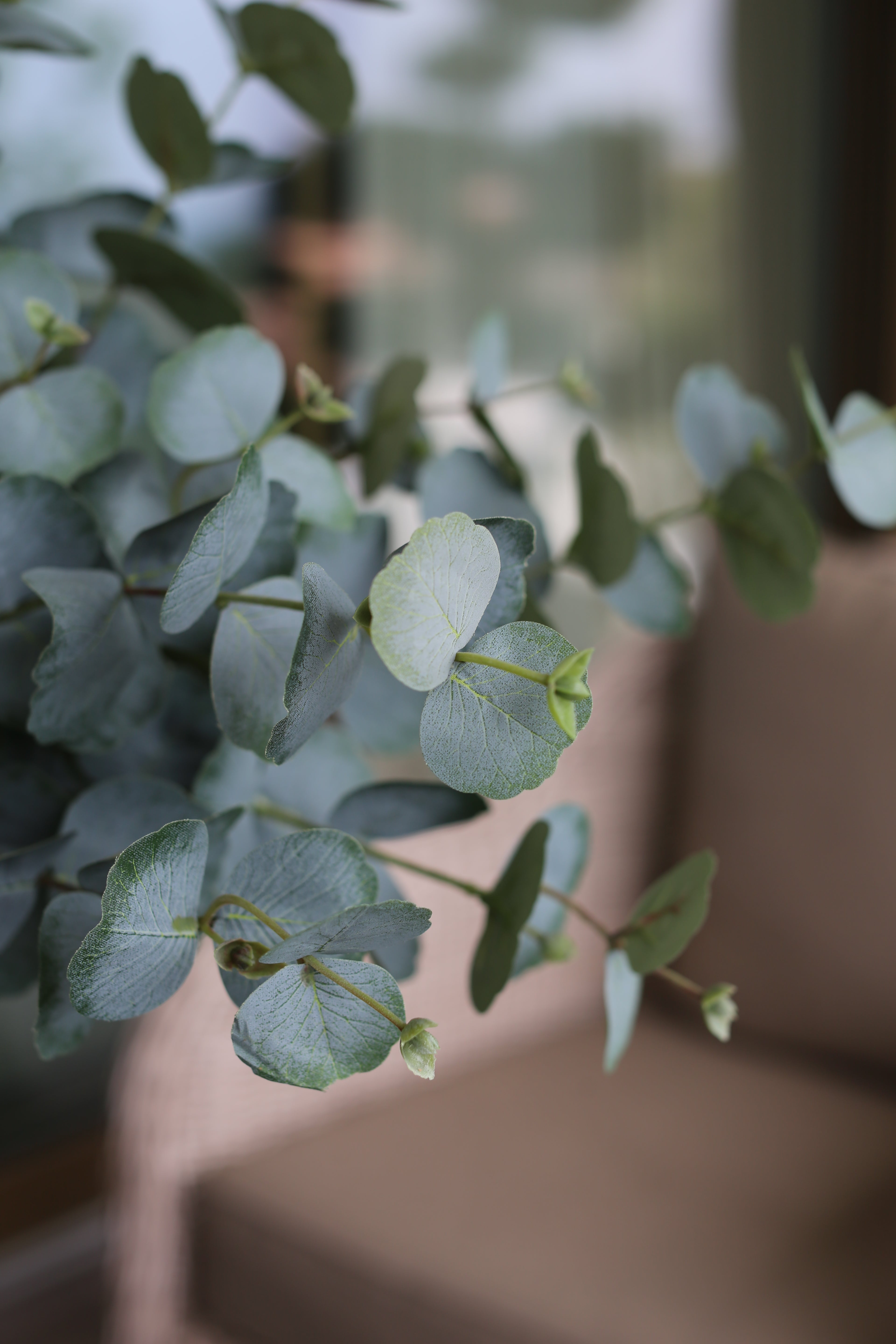 Green Eucalyptus Bouquet