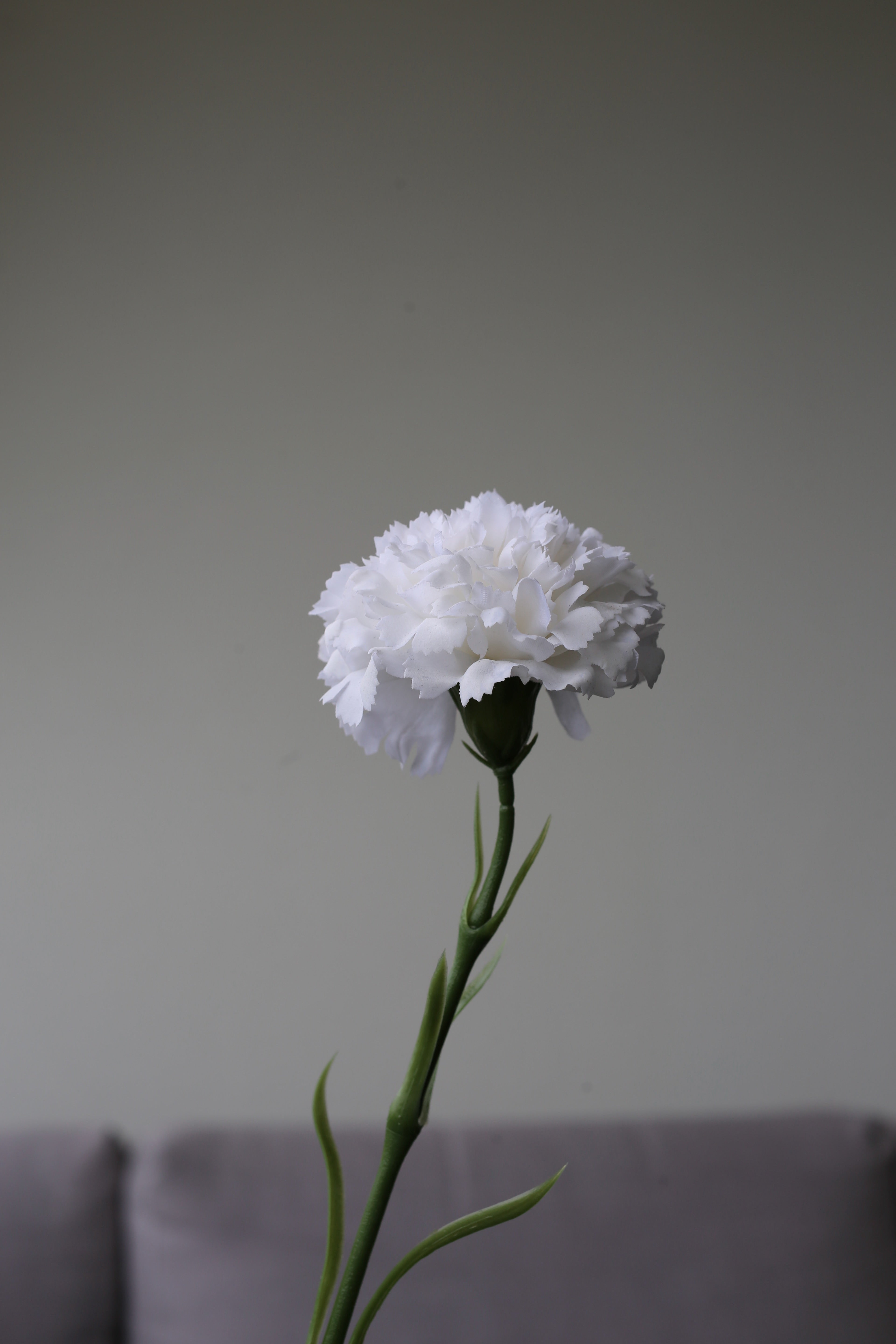 Pink Carnation – Premium Real Touch Stem