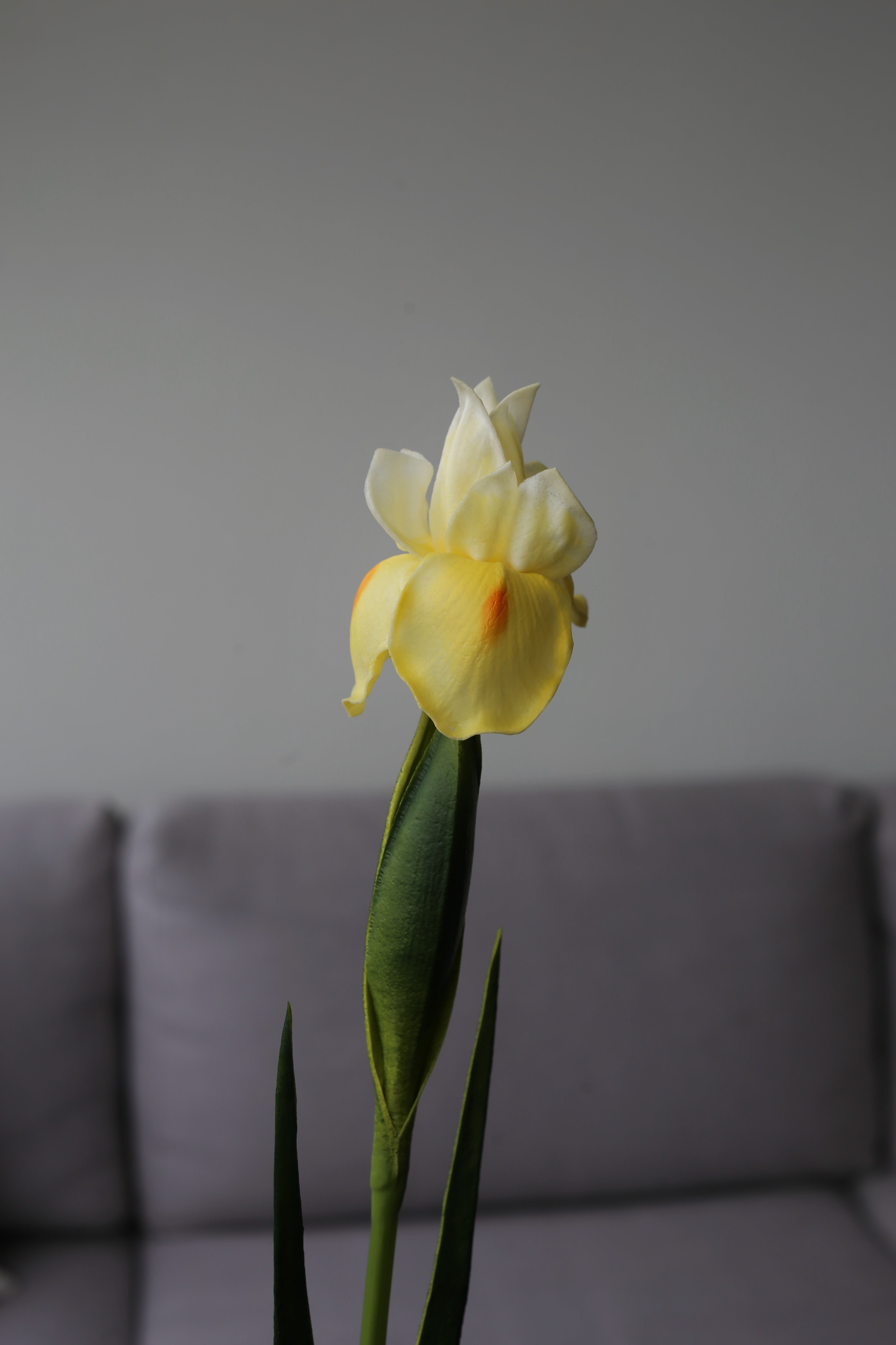 Purple Iris – Premium Real Touch Stem